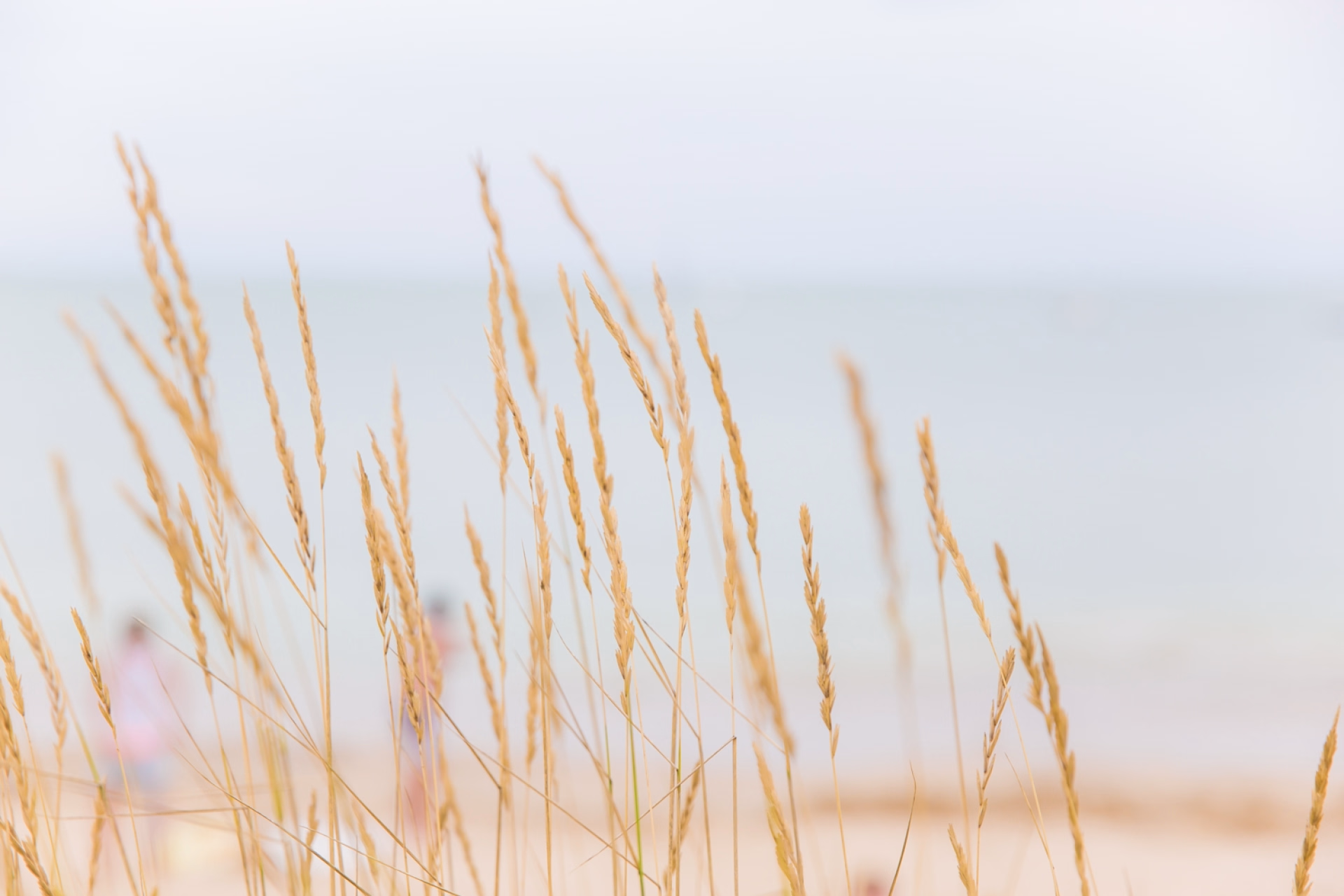 Stage kitesurf x Tribord : immersion exclusive dans le sud ouest