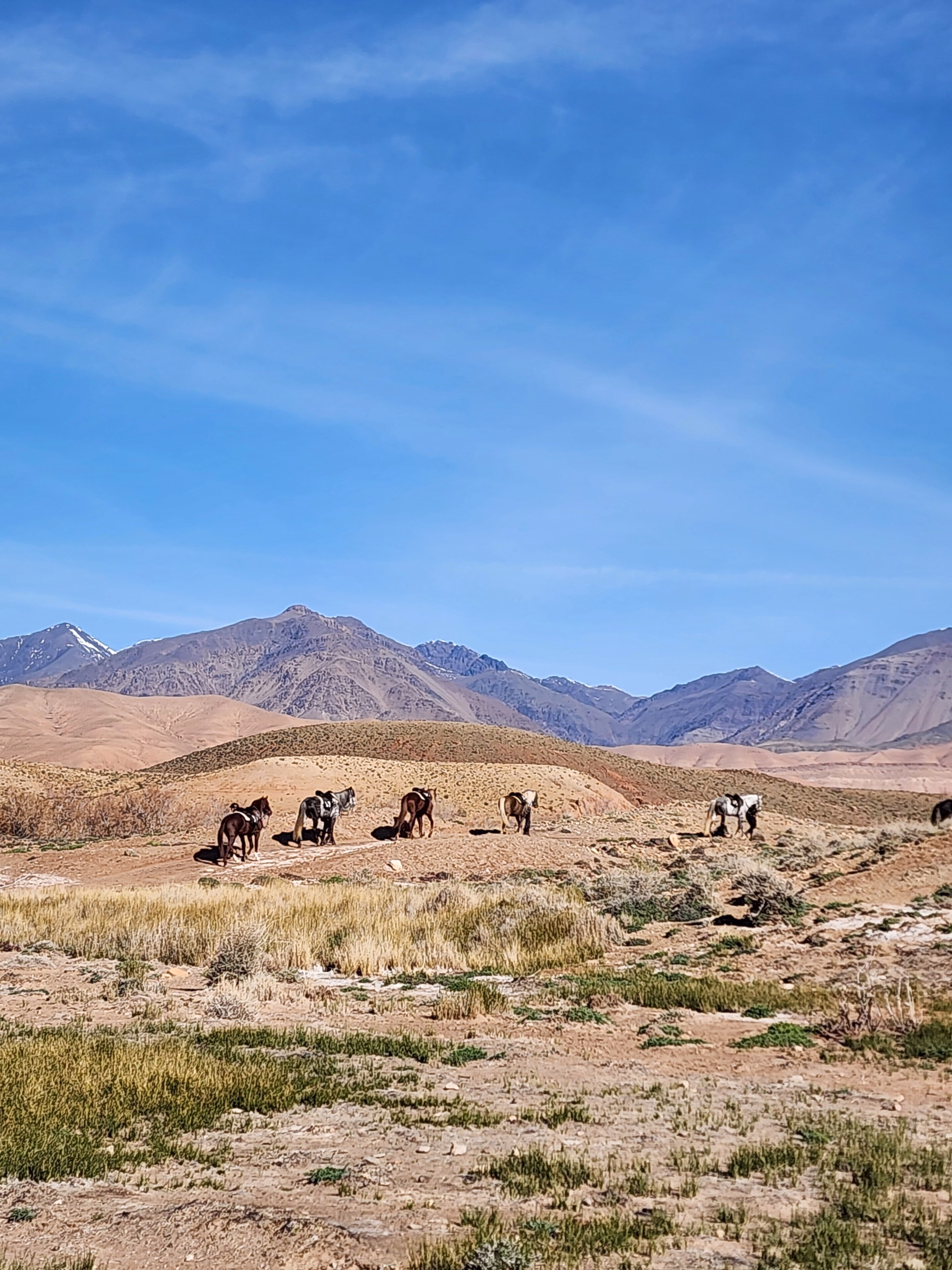 Le Sentier des 1000 Kasbahs : Découverte de la région de Ouarzazate