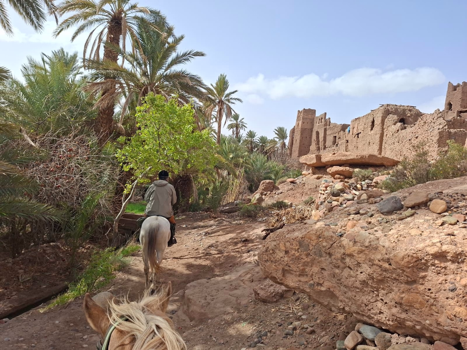 Le Sentier des 1000 Kasbahs : Découverte de la région de Ouarzazate