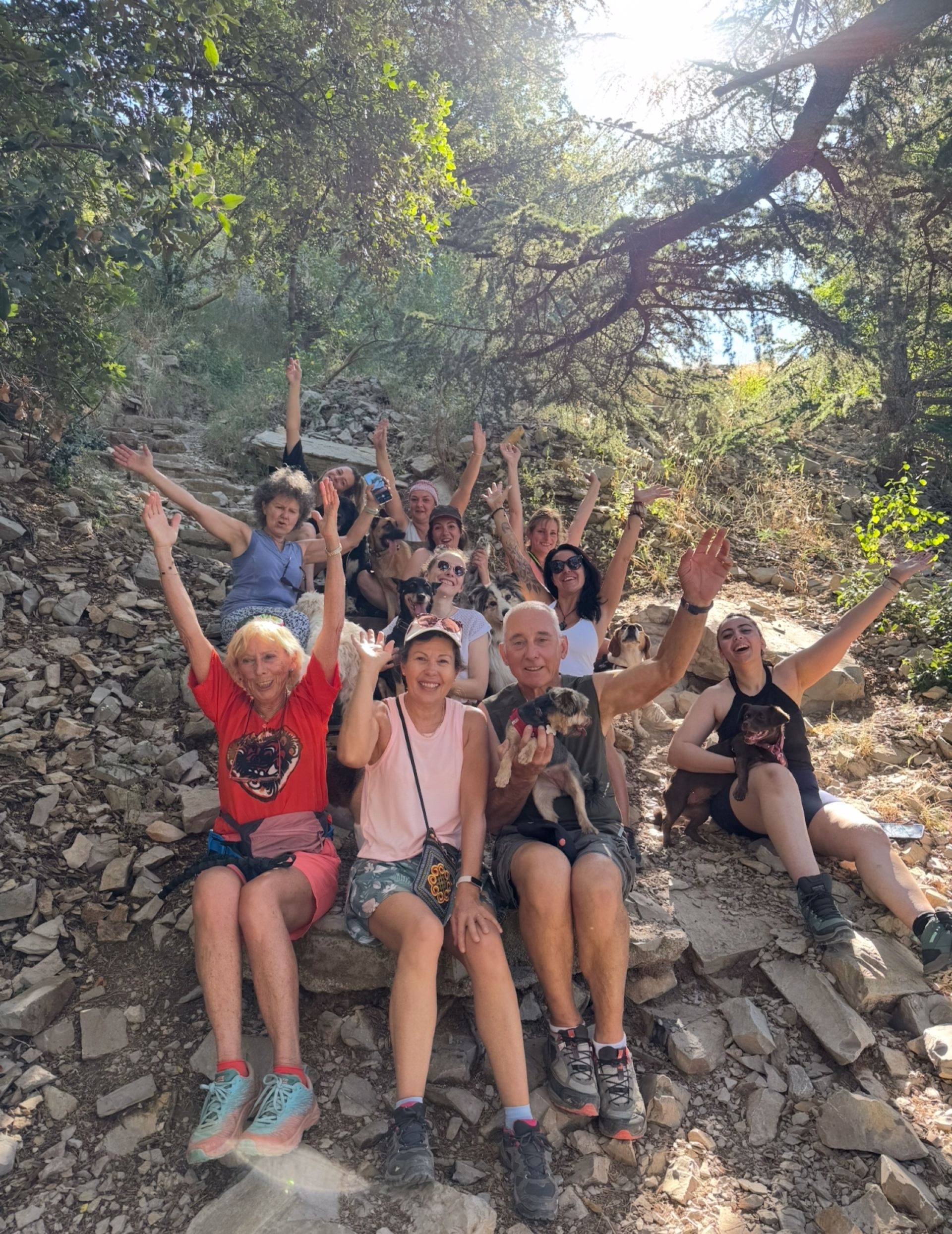 Séjour randonnée et doga en Haute-Savoie avec votre chien