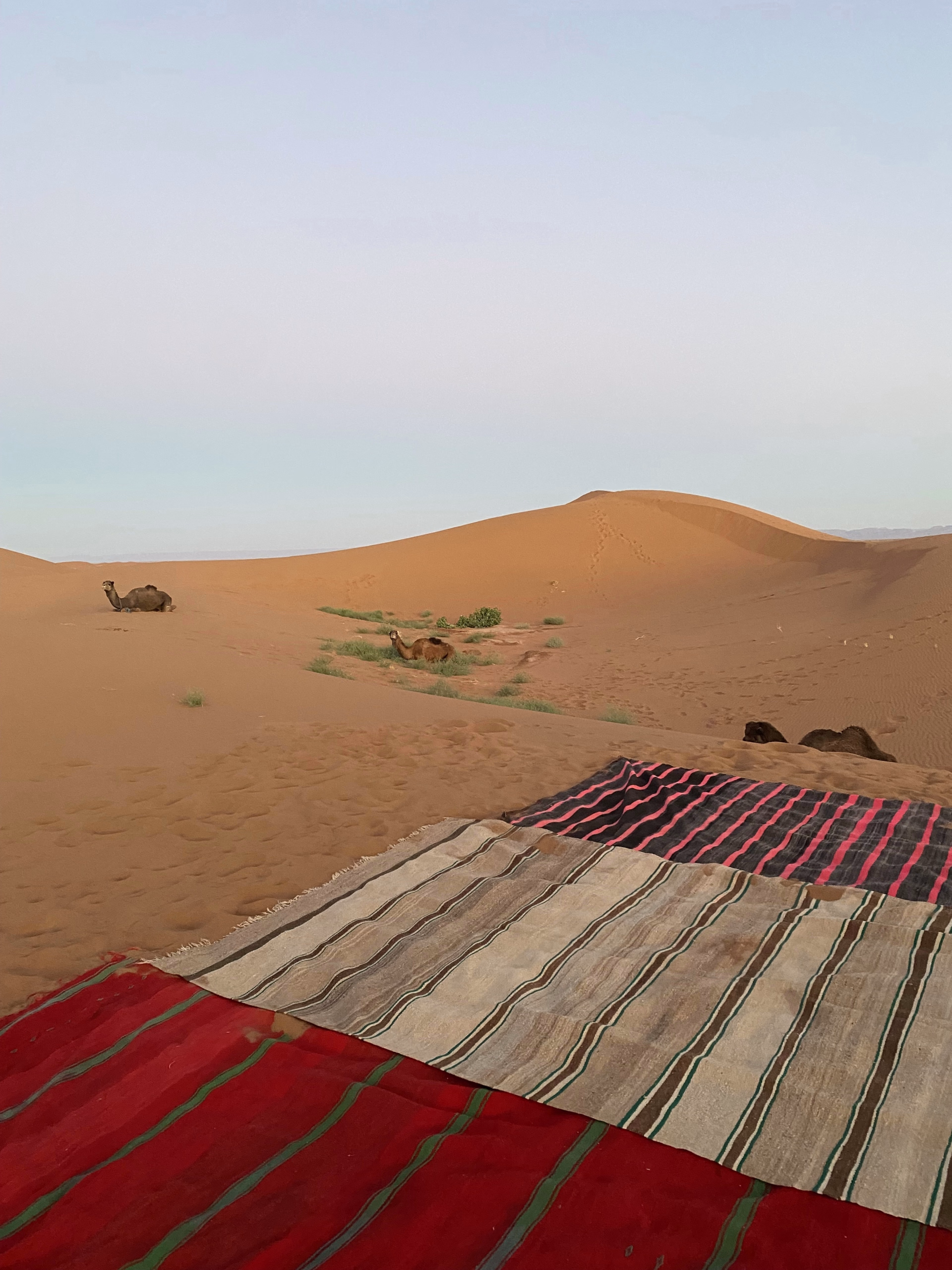 Trek et yoga dans le désert du Sahara