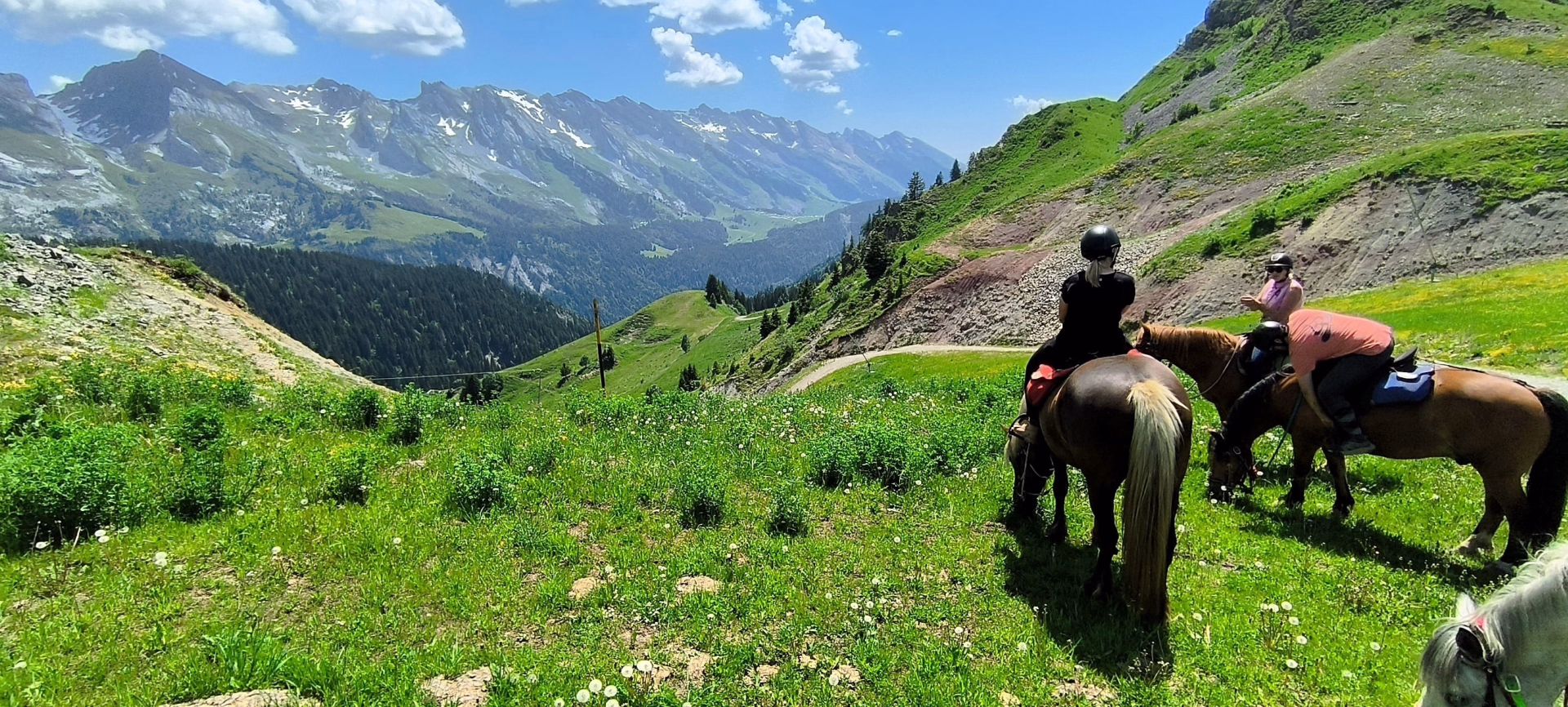 Séjour cheval et bien être dans les Aravis