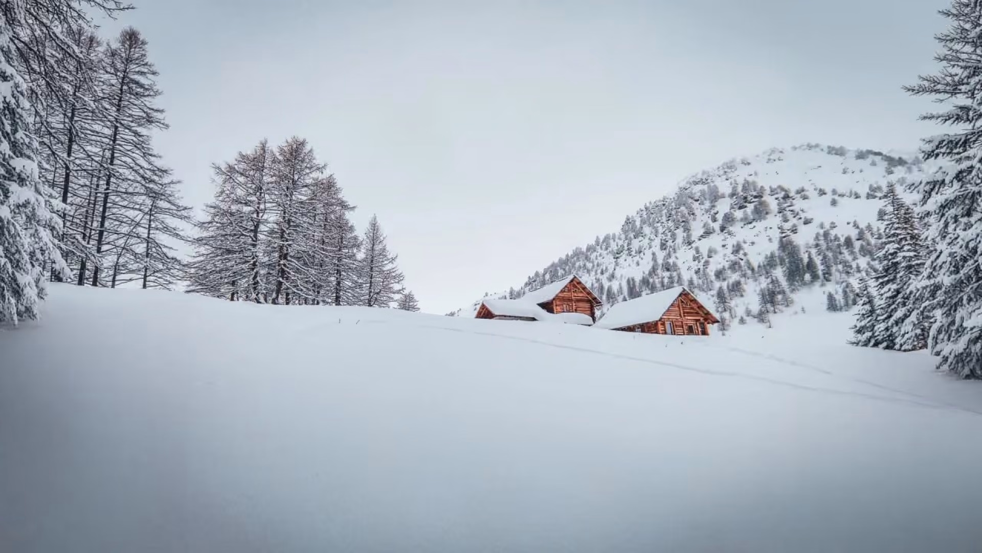 Nouvel An au cœur des Hautes-Alpes : 4 jours de raquettes en Clarée