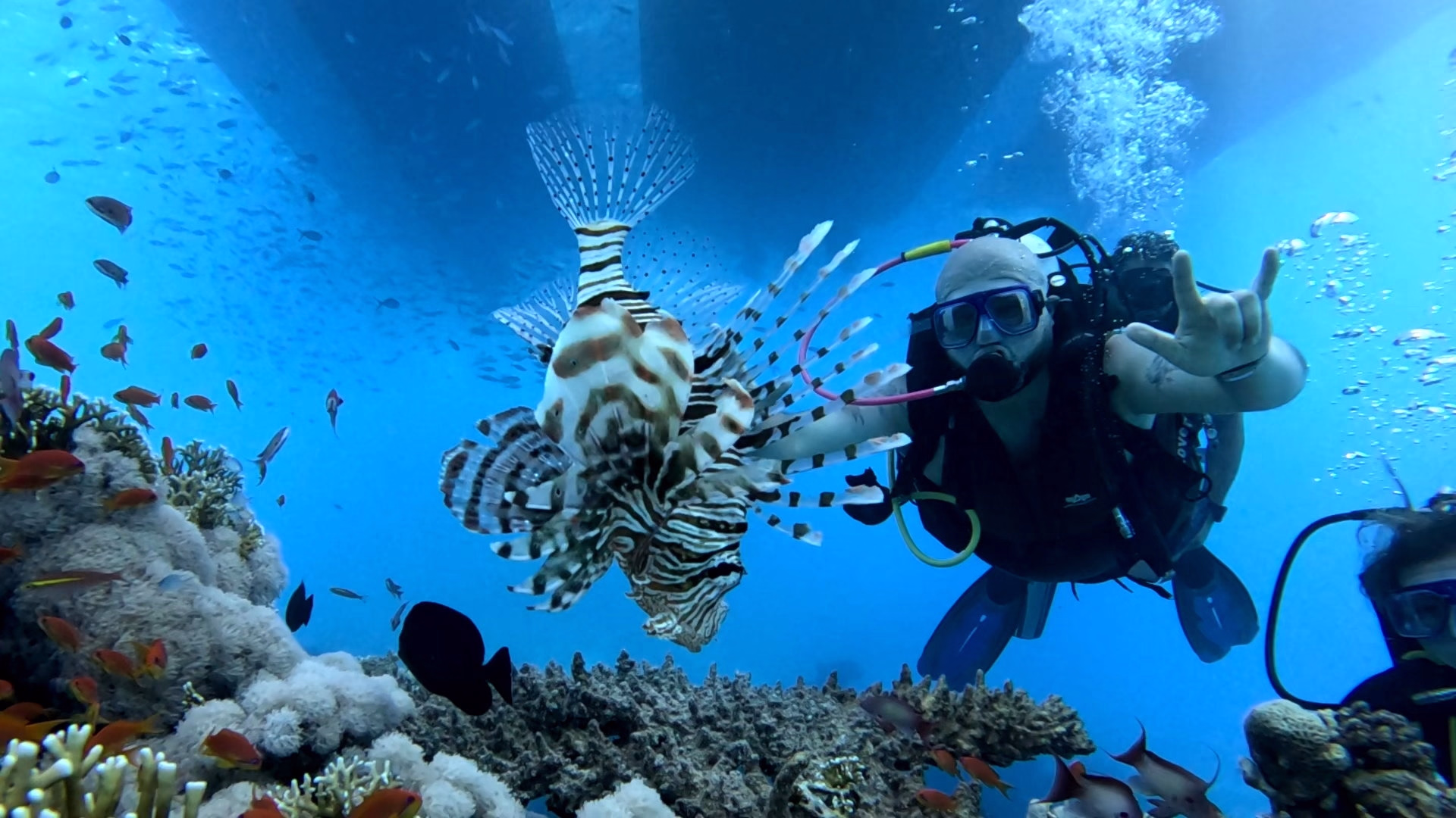 Plongée avancée dans le site fabuleux de Sharm El-Cheikh