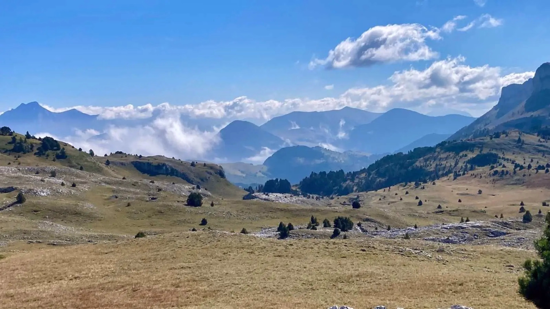 Sur les traces du loup : à la rencontre de votre part sauvage
