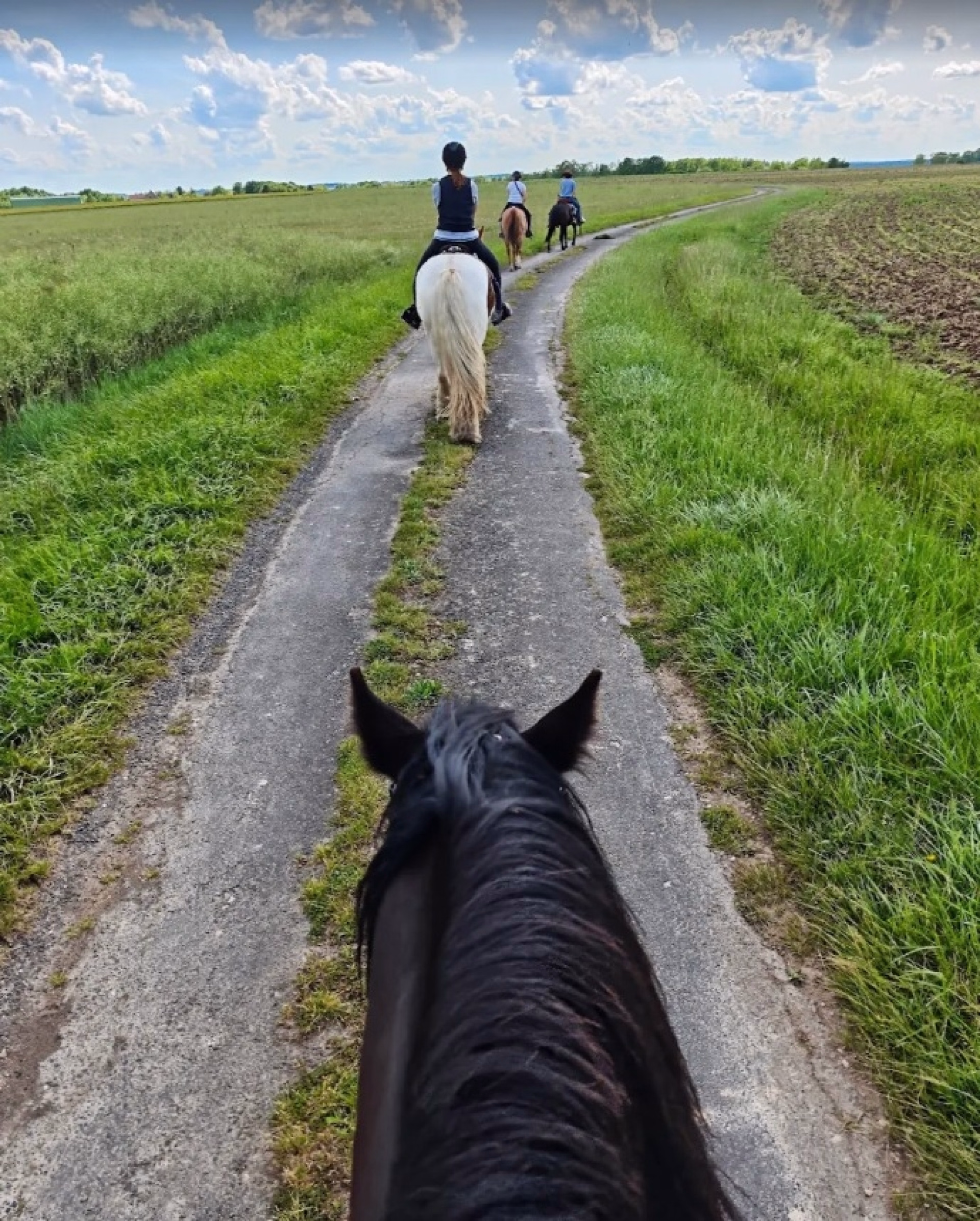 Randonnée à cheval de 2 jours avec Bivouac Royal