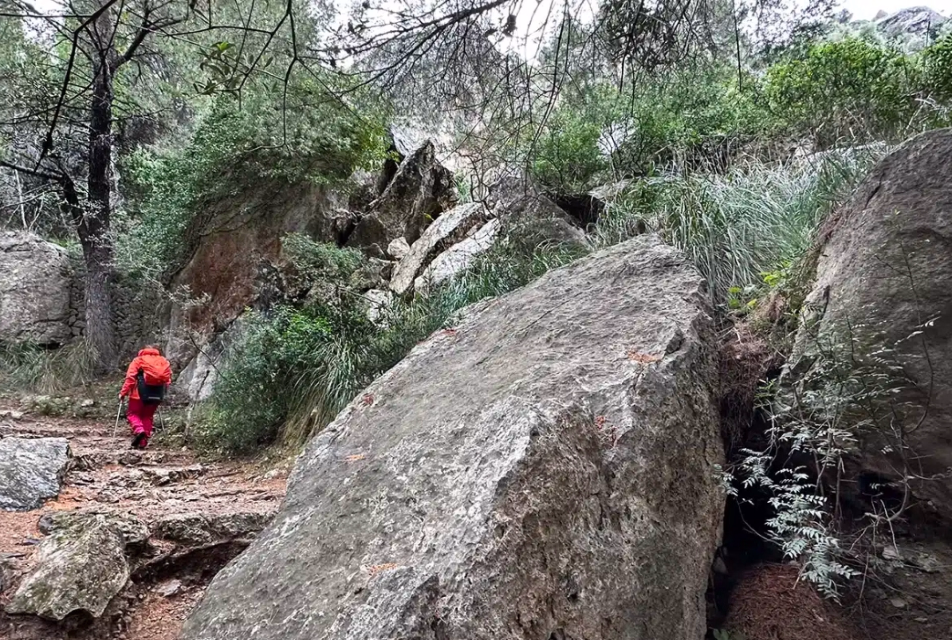 Randonnée dans la Sierra de Tramuntana (GR221)