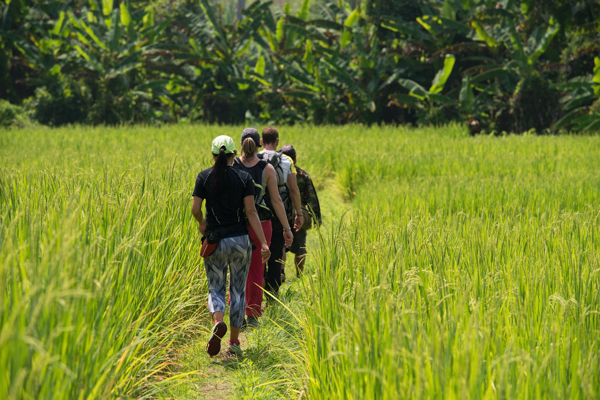 Excursion nature dans les rizières Karen en Thaïlande