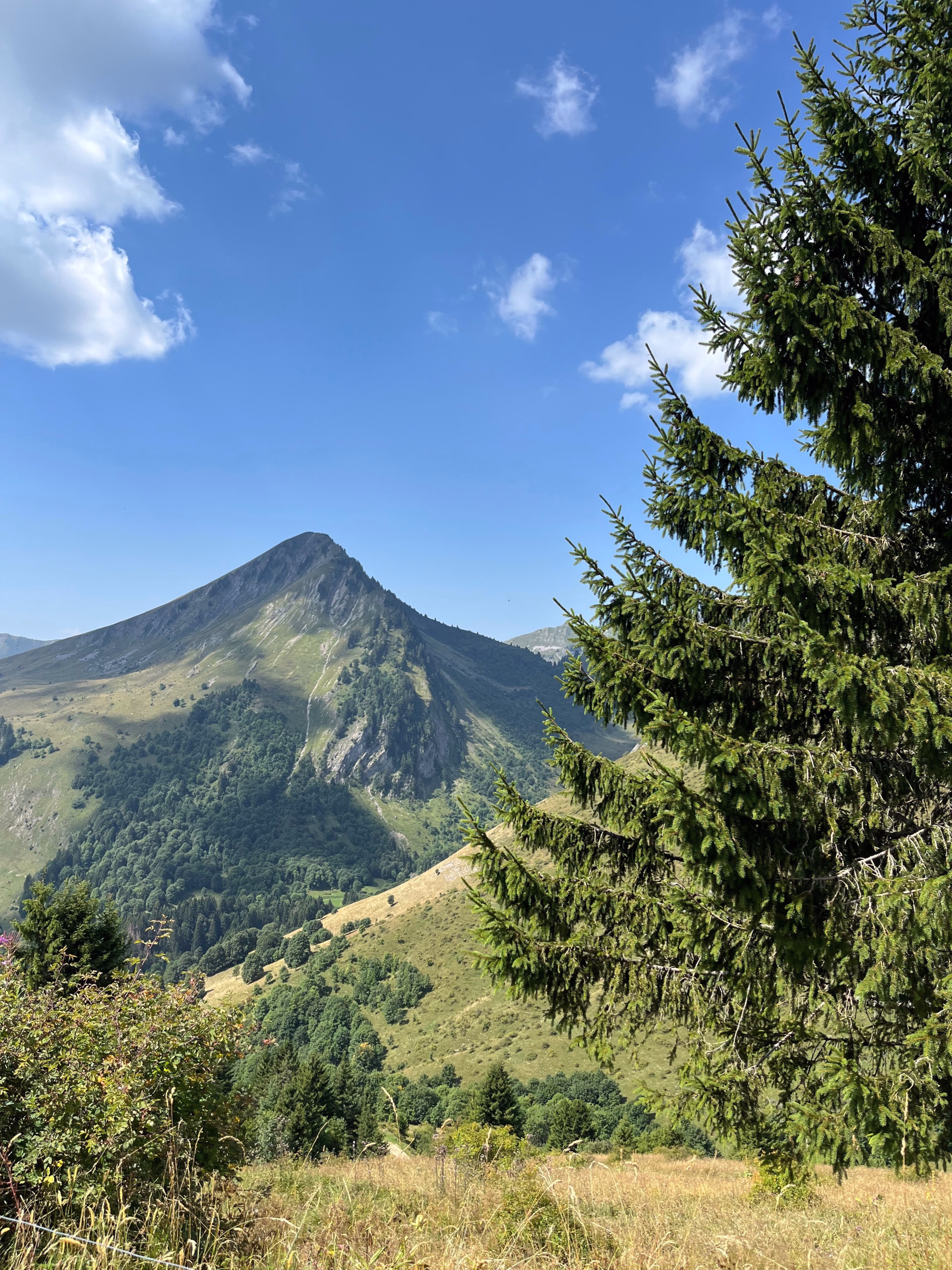 6 jours de yoga, rando & spa en Haute-Savoie