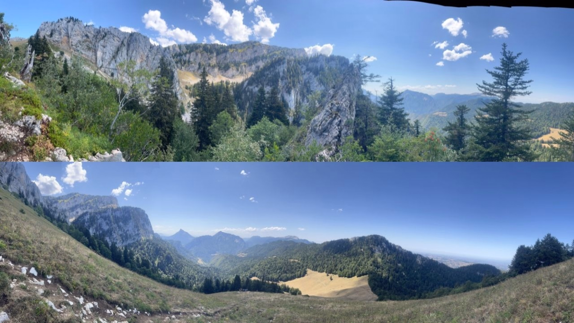 Randonnée et flore alpine en Chartreuse