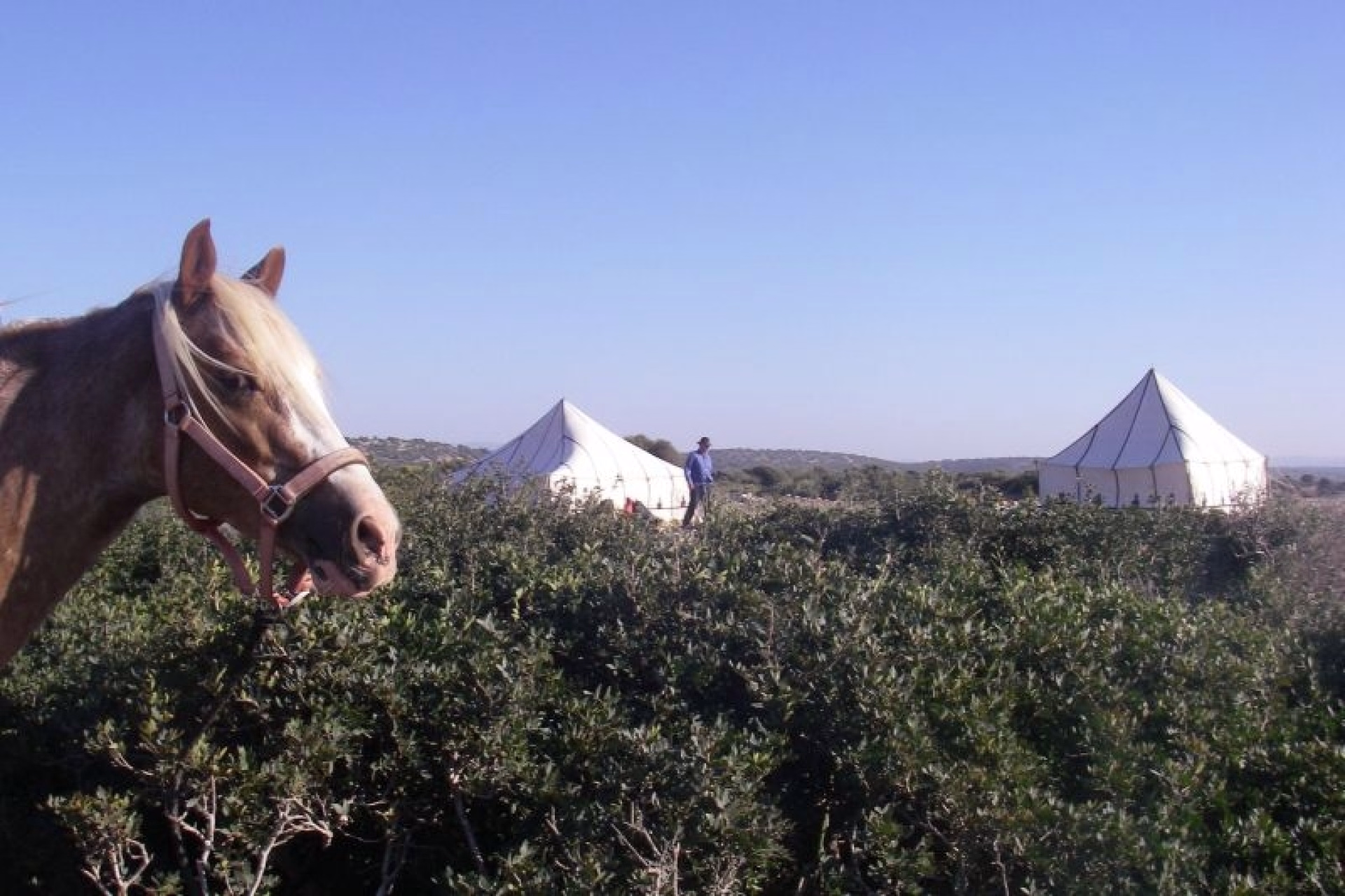 ⛺️ Bivouac/tente - Jours 2 à 5