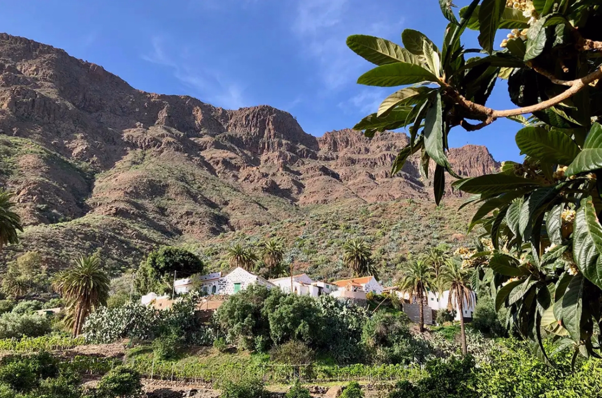 Randonnée sur le Camino del Guanche (GR131)