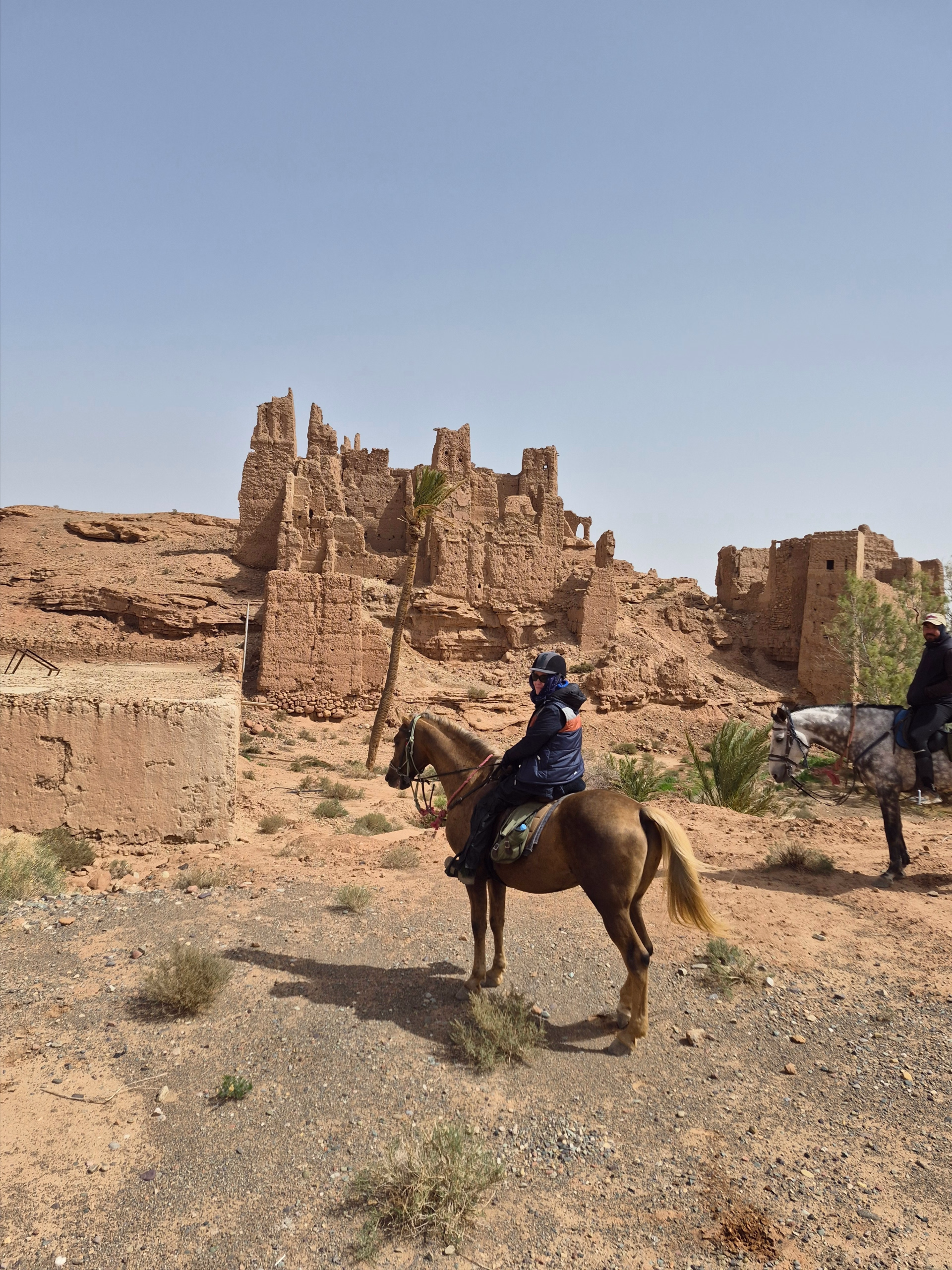 Le Sentier des 1000 Kasbahs : Découverte de la région de Ouarzazate