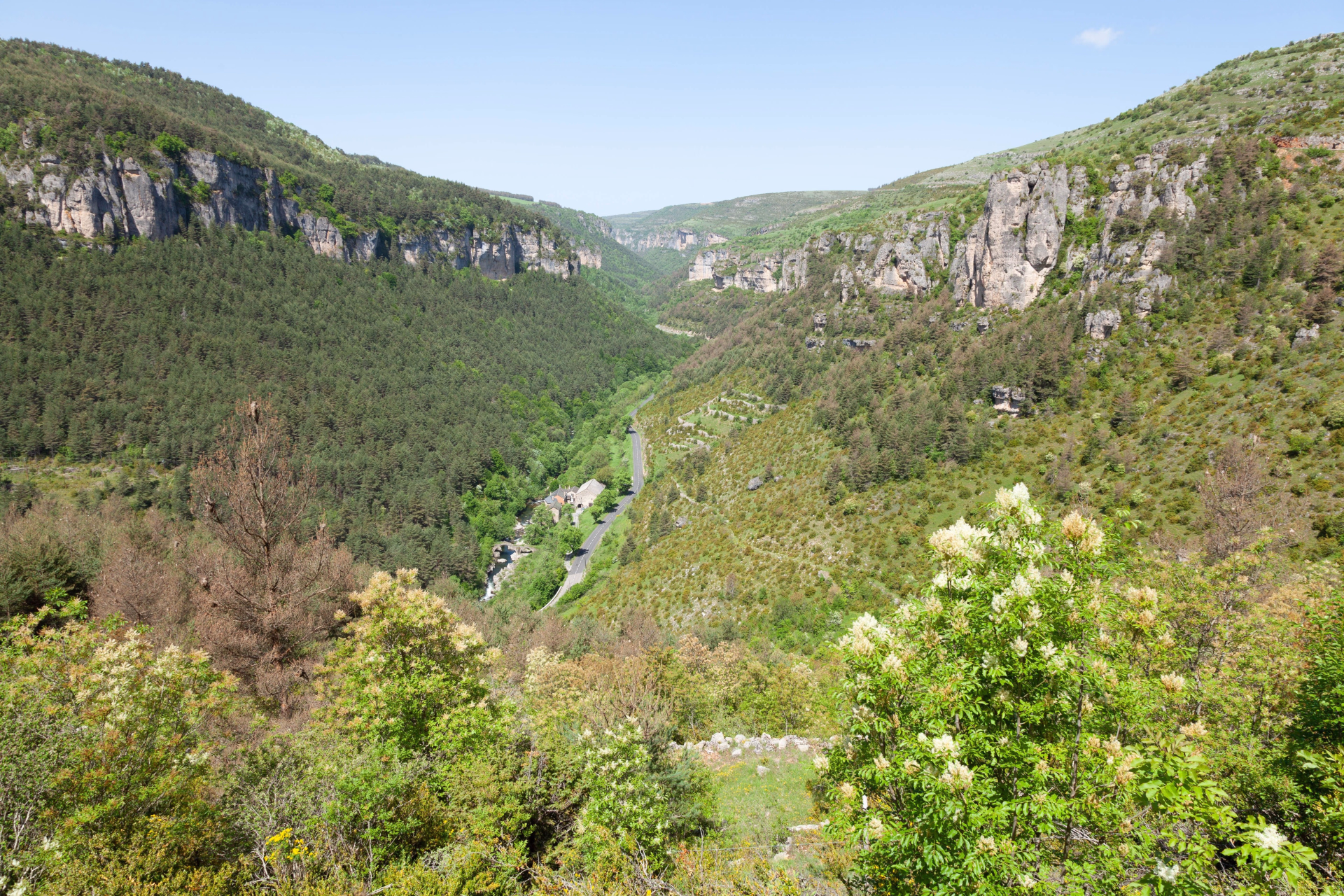 Week-end trail : reconnaissance du parcours des Templiers à Millau