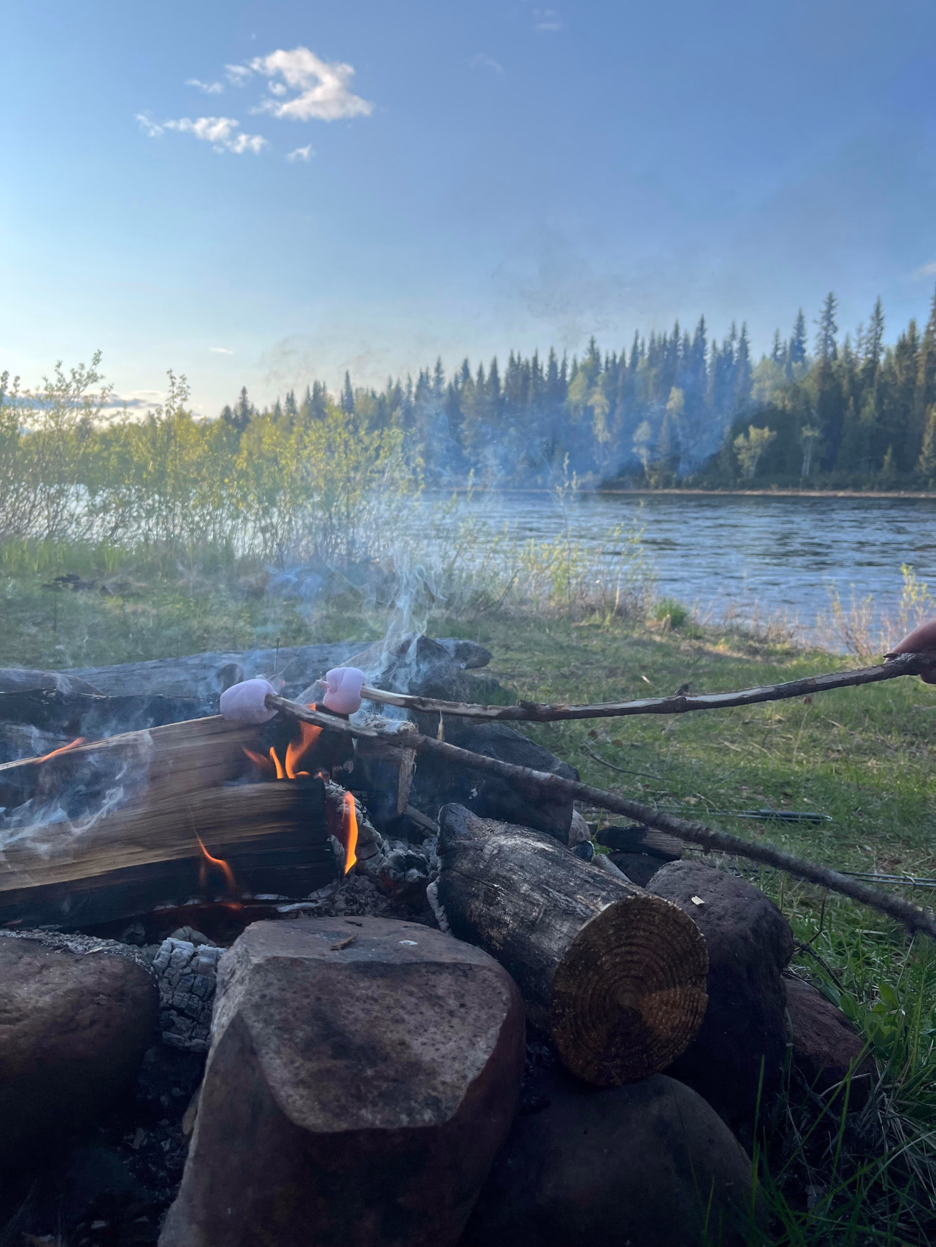 Immersion boréale entre cani-rando et bivouac en Laponie