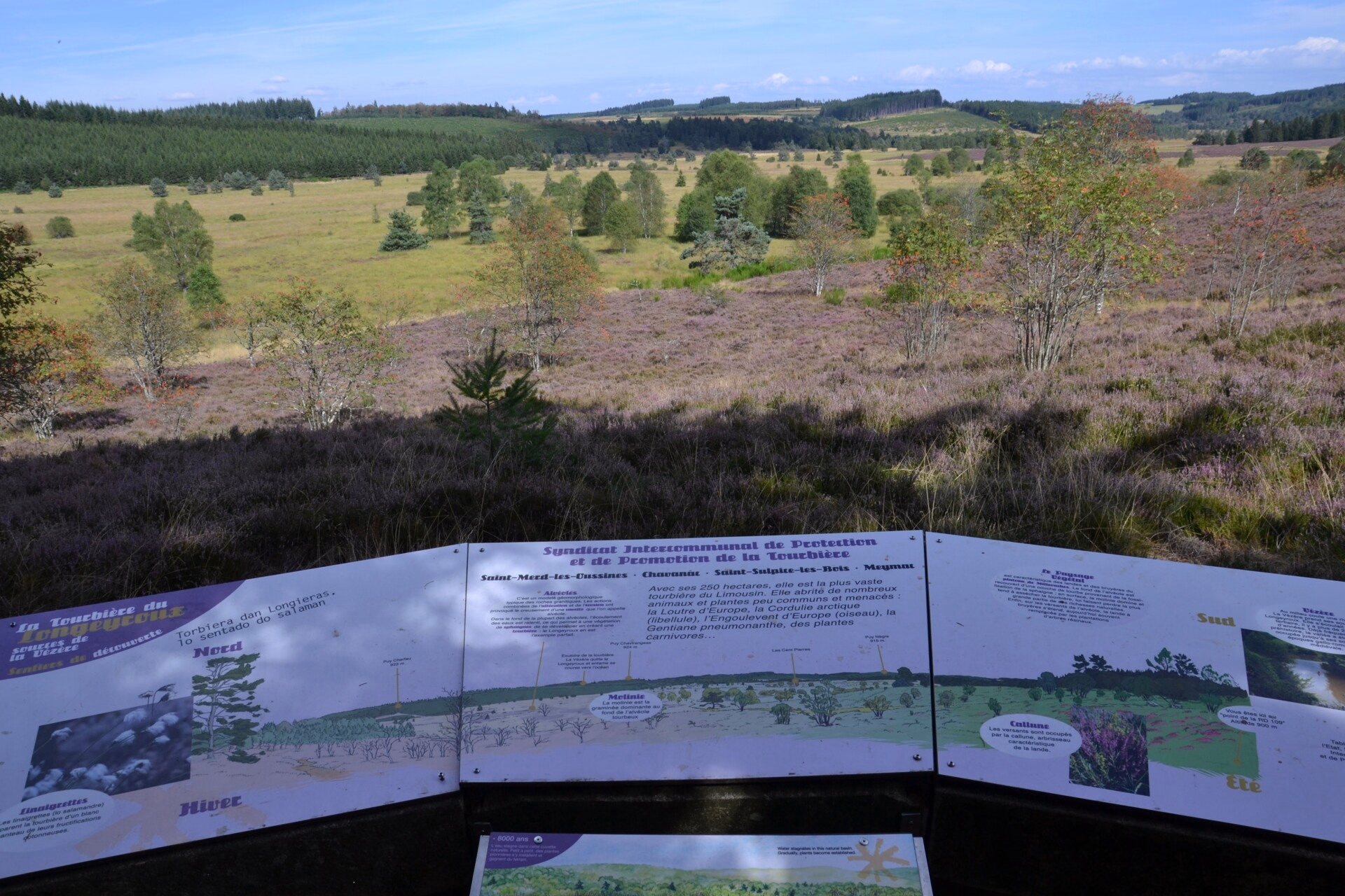 Découverte de la Haute-Corrèze en groupe - Randonnées & Trésors Cachés