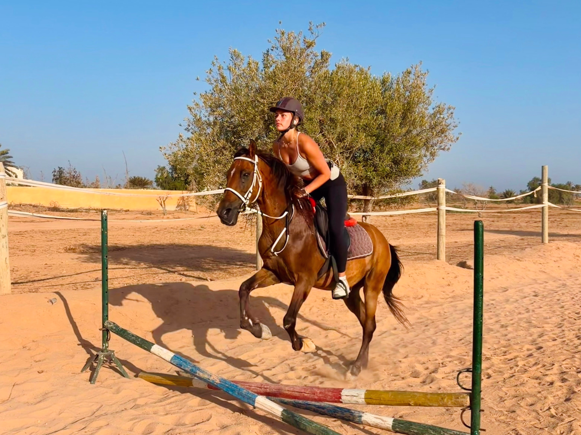 Séjour équestre & immersion culturelle – Sport, Culture & Aventure