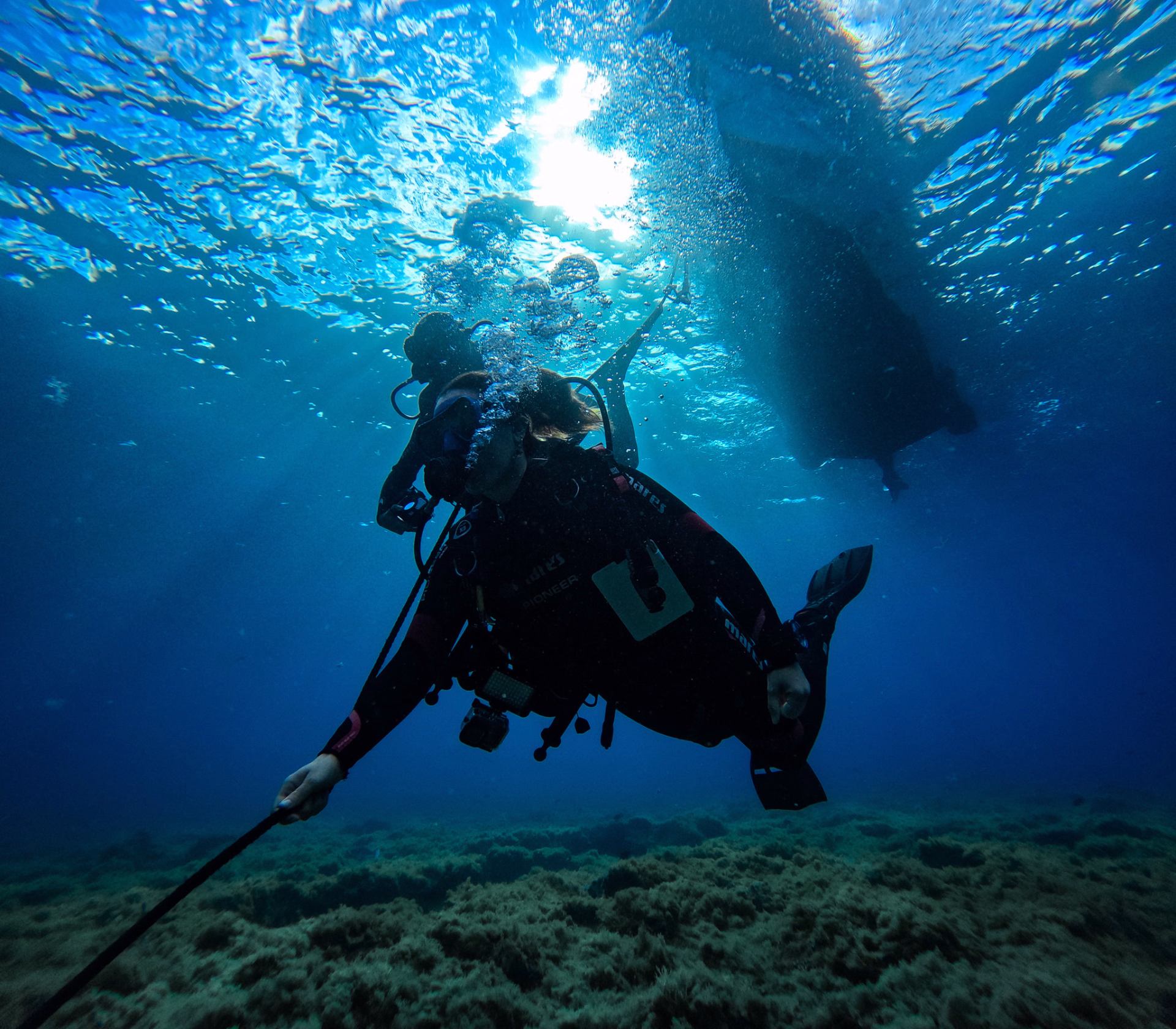 Photo de plongée dans les eaux riches de Tenerife