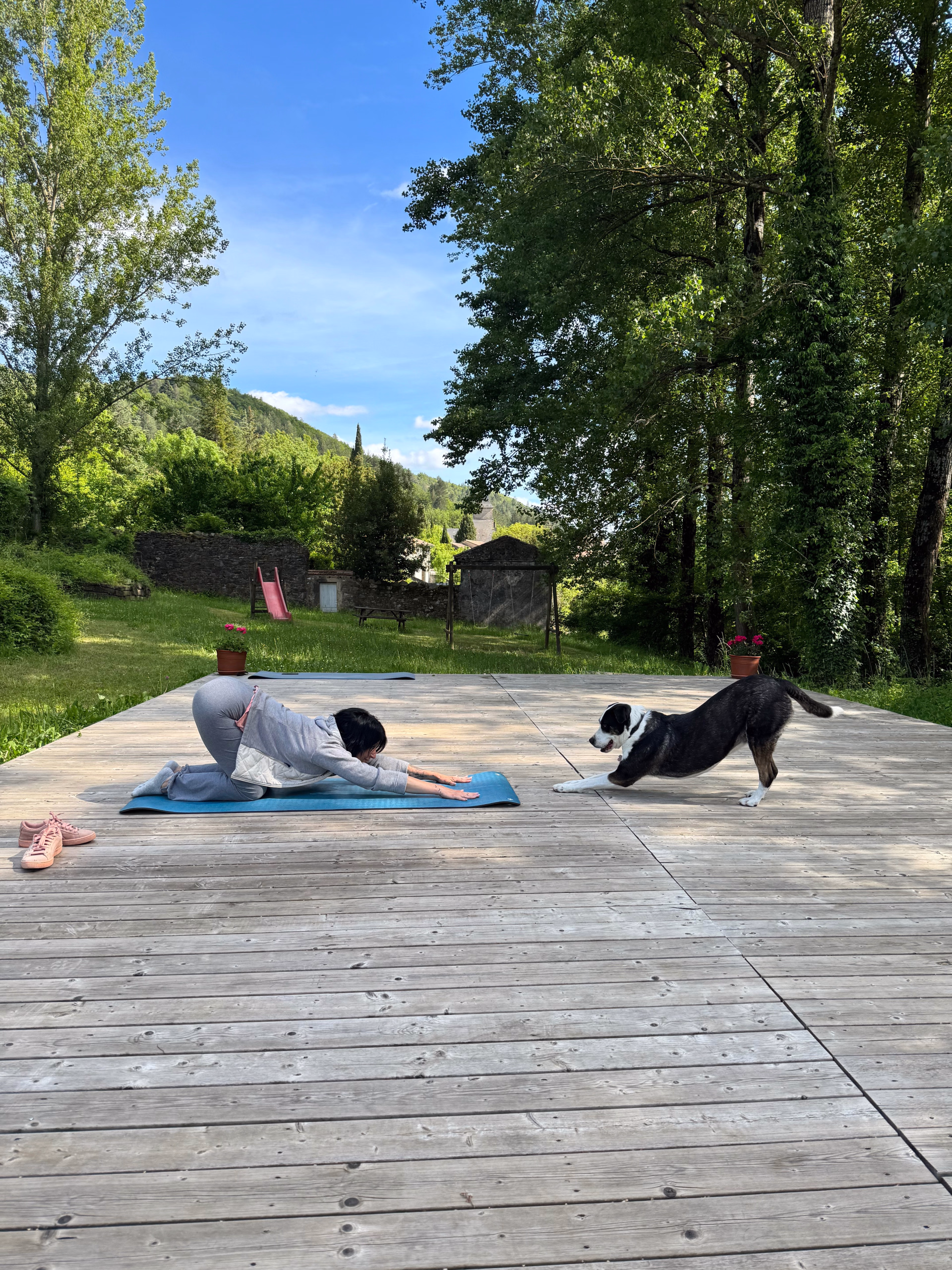 Séjour randonnée et doga dans le Gard avec votre chien