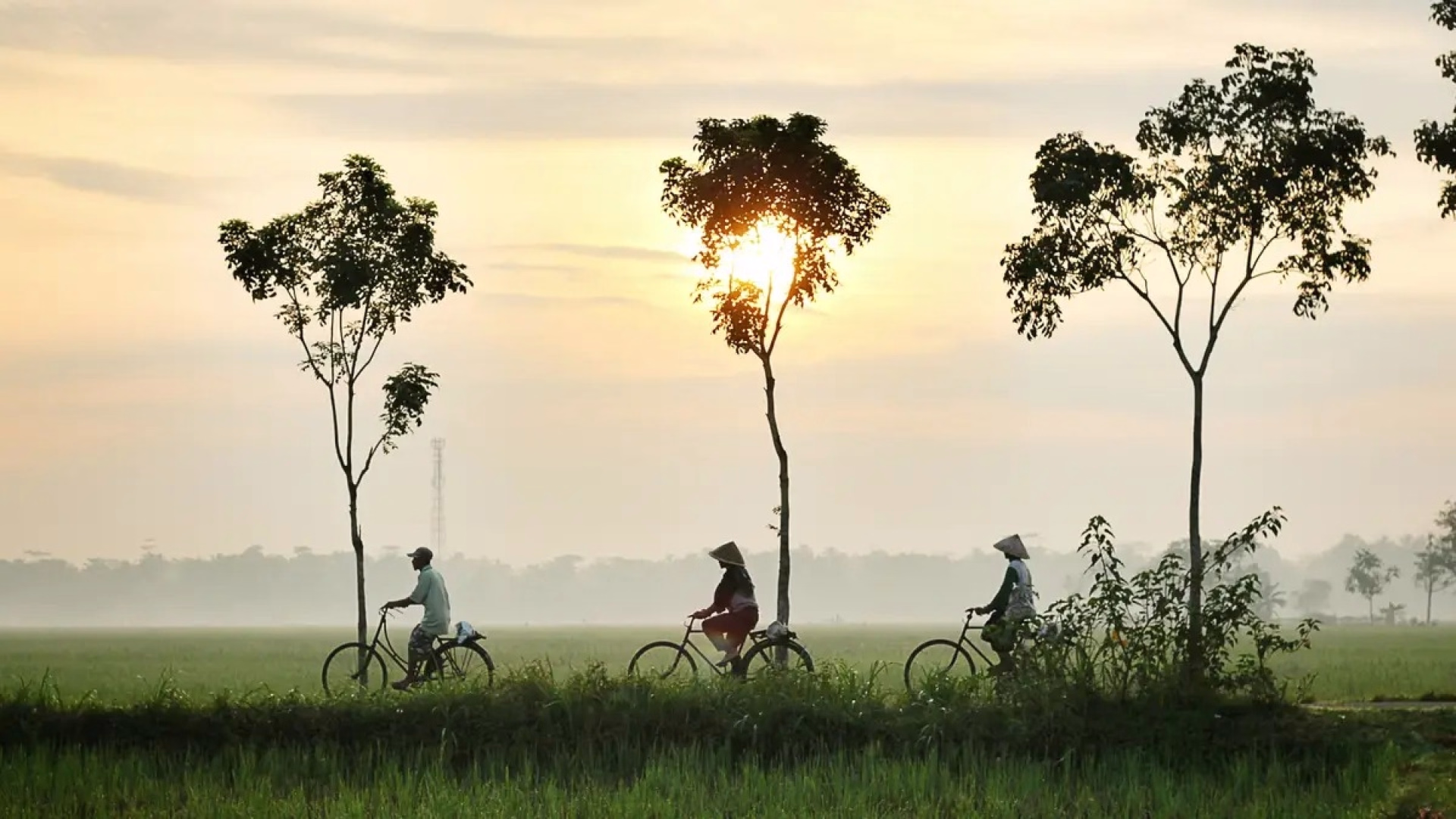 Bali à vélo