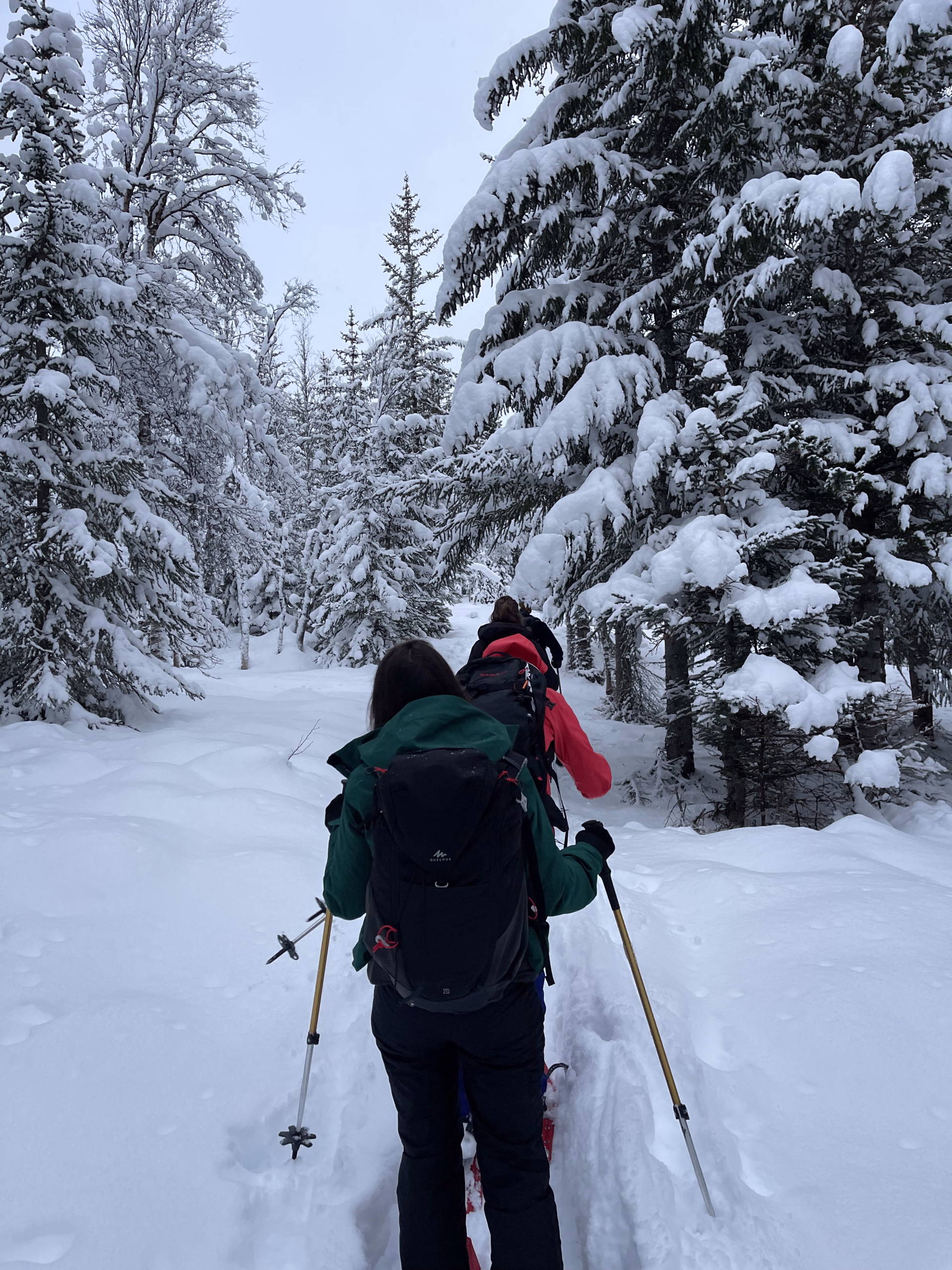 Photo de raquette à neige en Laponie