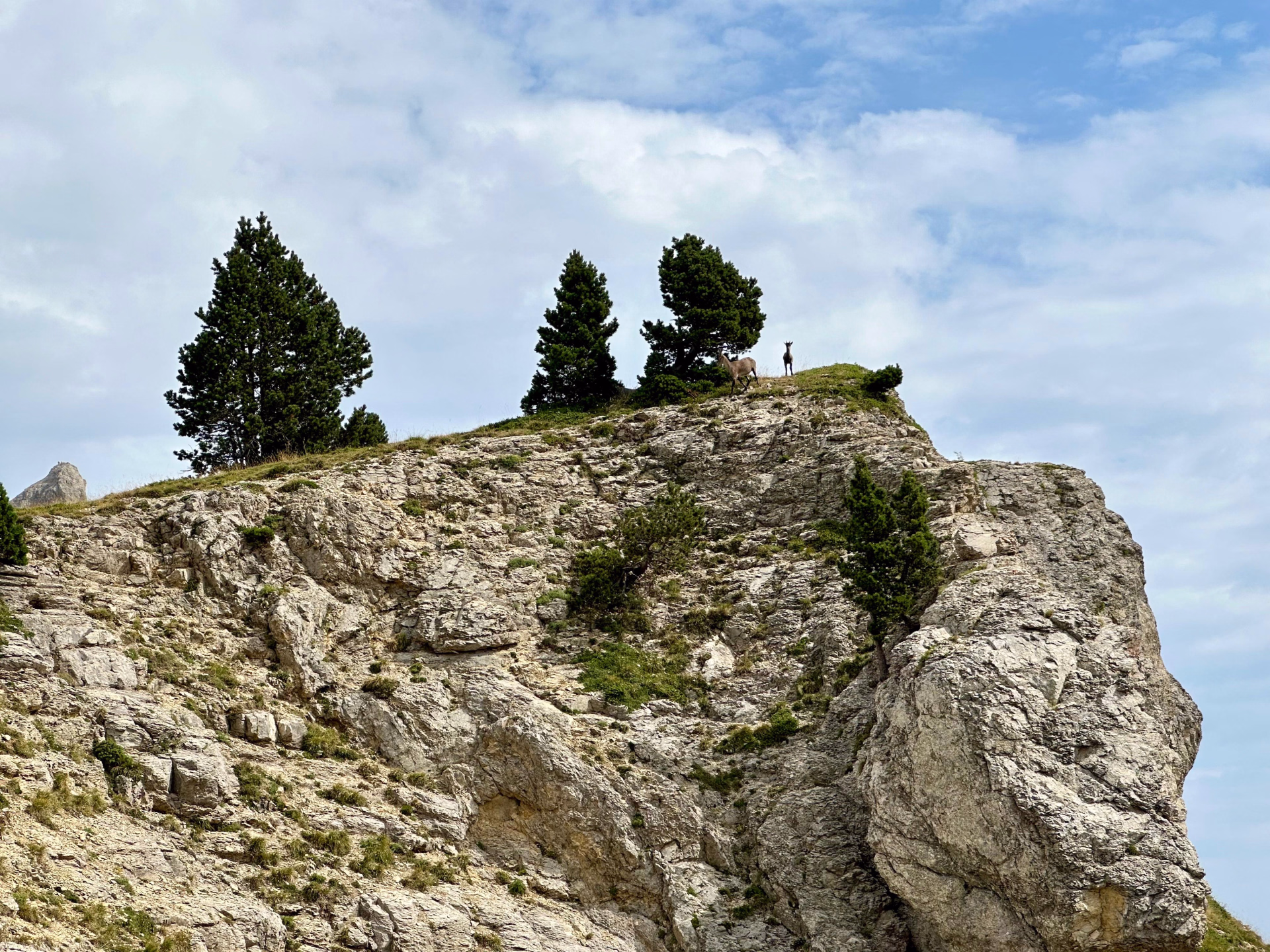 Randonnée équestre dans les Alpes