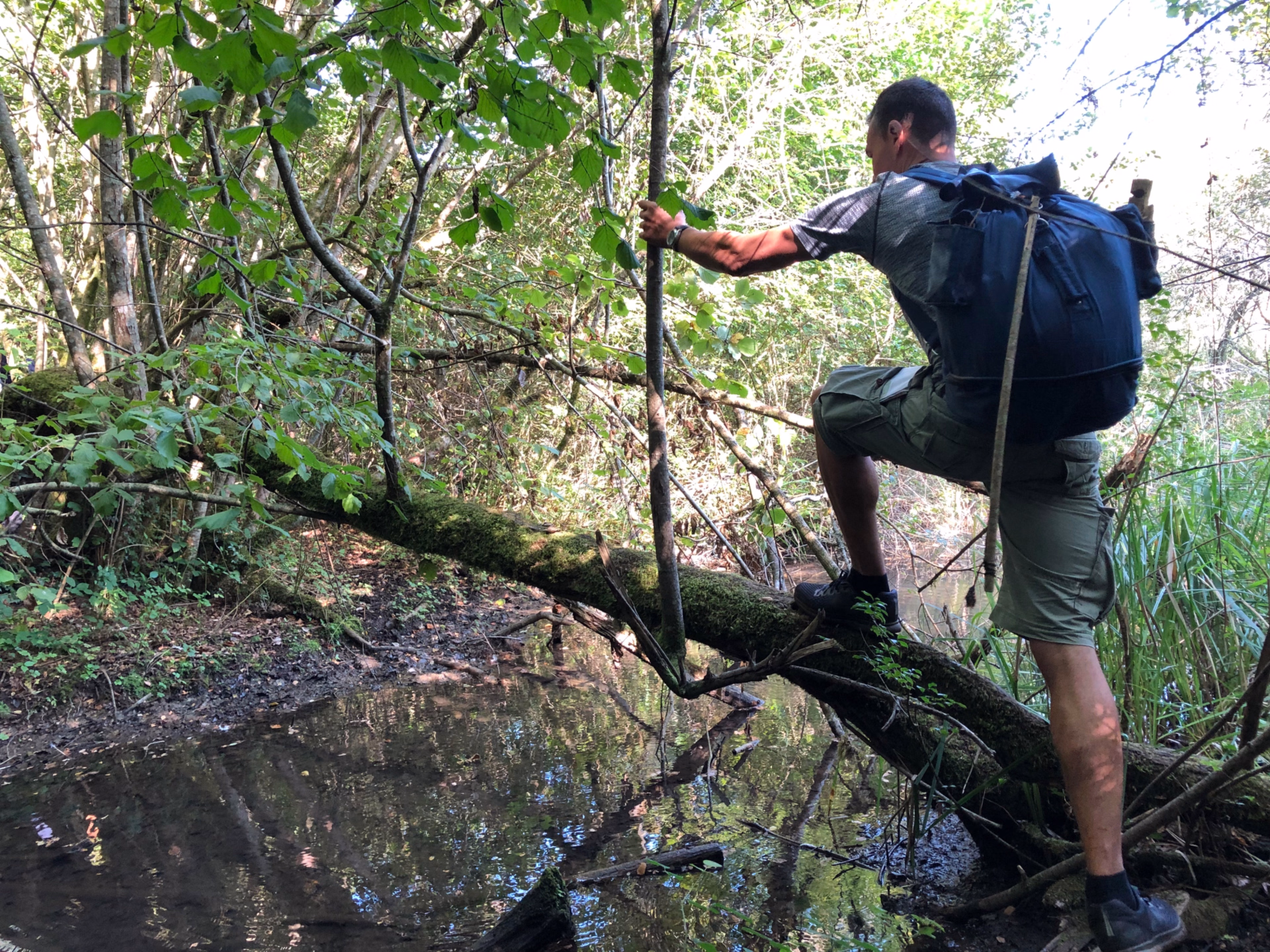 Survie en pleine nature : micro-aventure en Ardèche (Sud de Lyon)