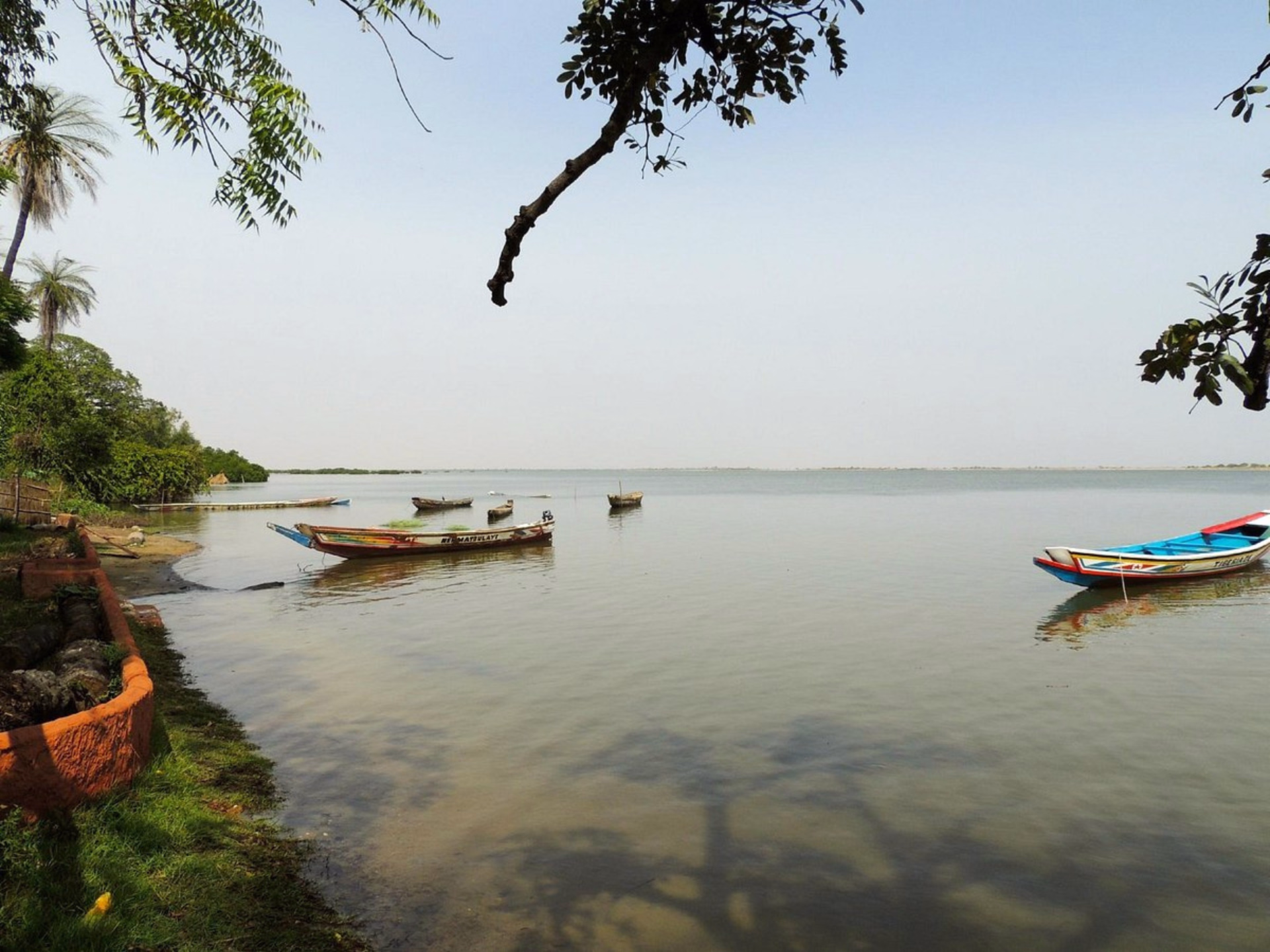 Safari à cheval dans le Sine Saloum au Sénégal