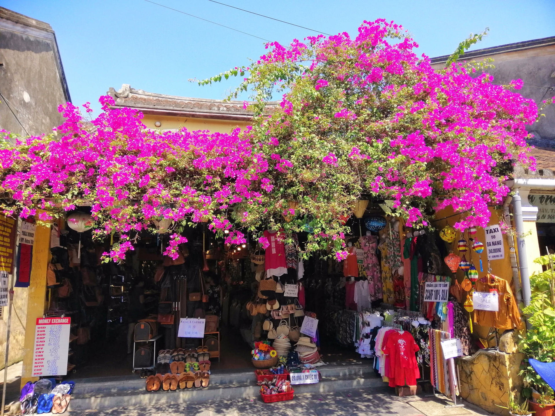 Découverte en profondeur au Vietnam