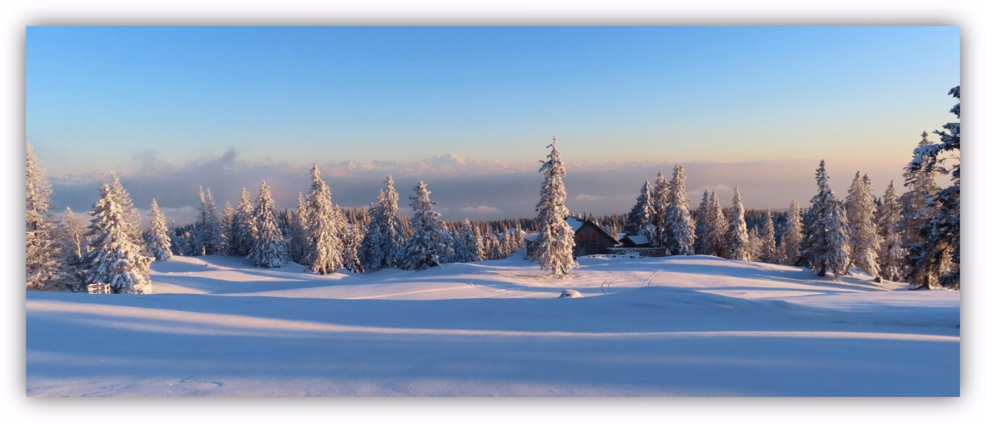 Immersion en raquettes au cœur du Jura suisse enneigé