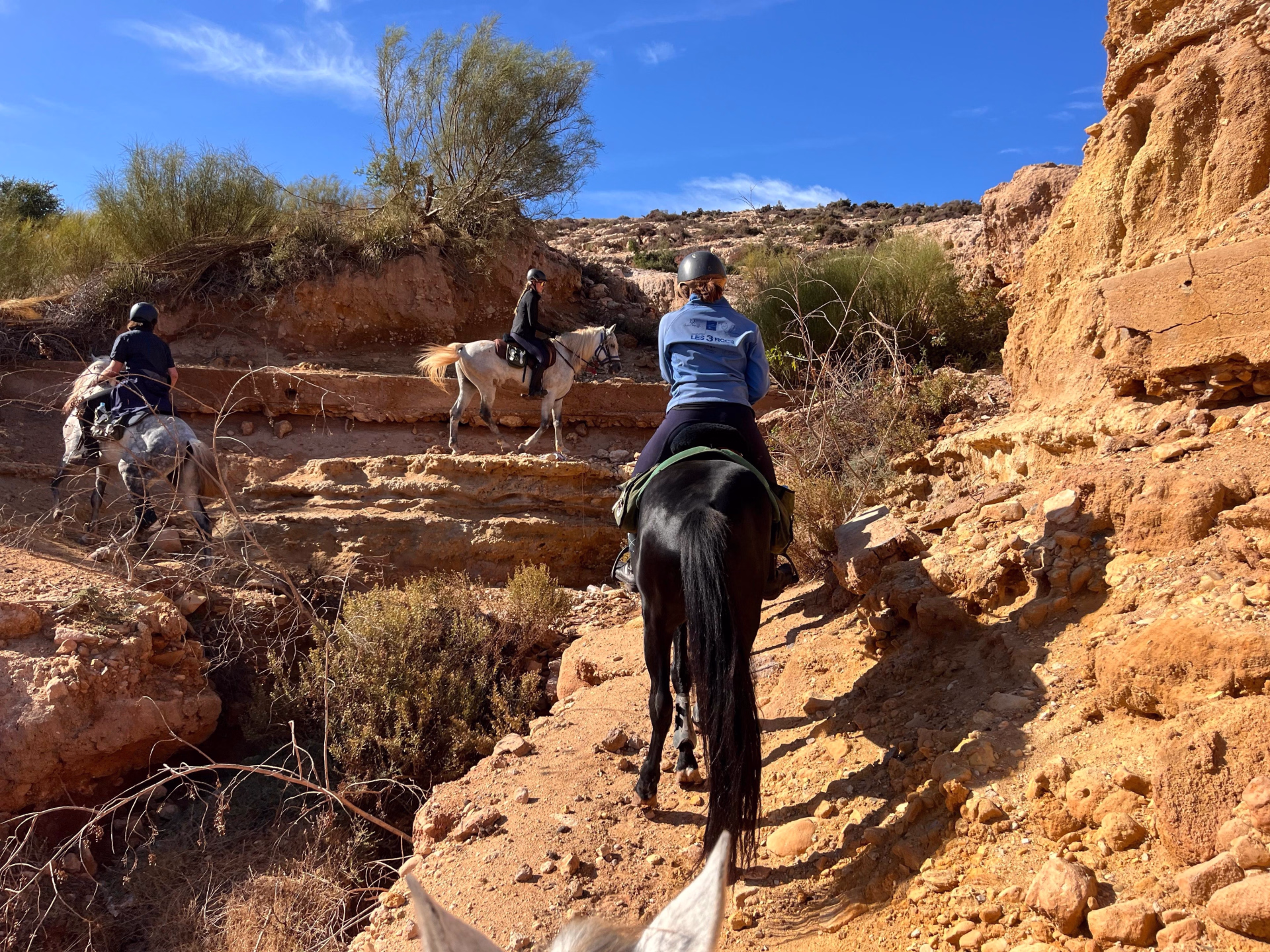 La Boucle d'Iftane - Randonnée équestre à Essaouira