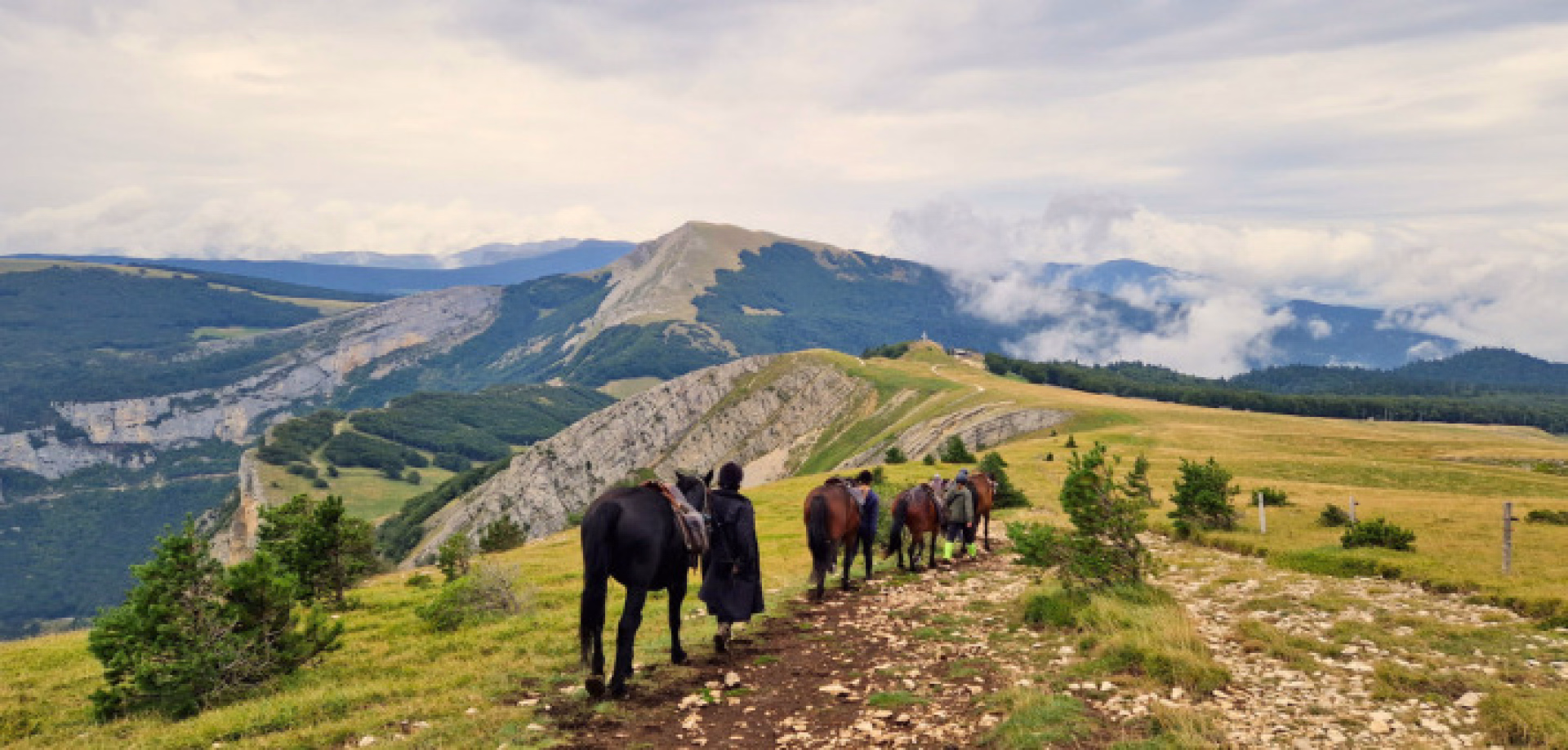 Galop sur les plateaux du Vercors