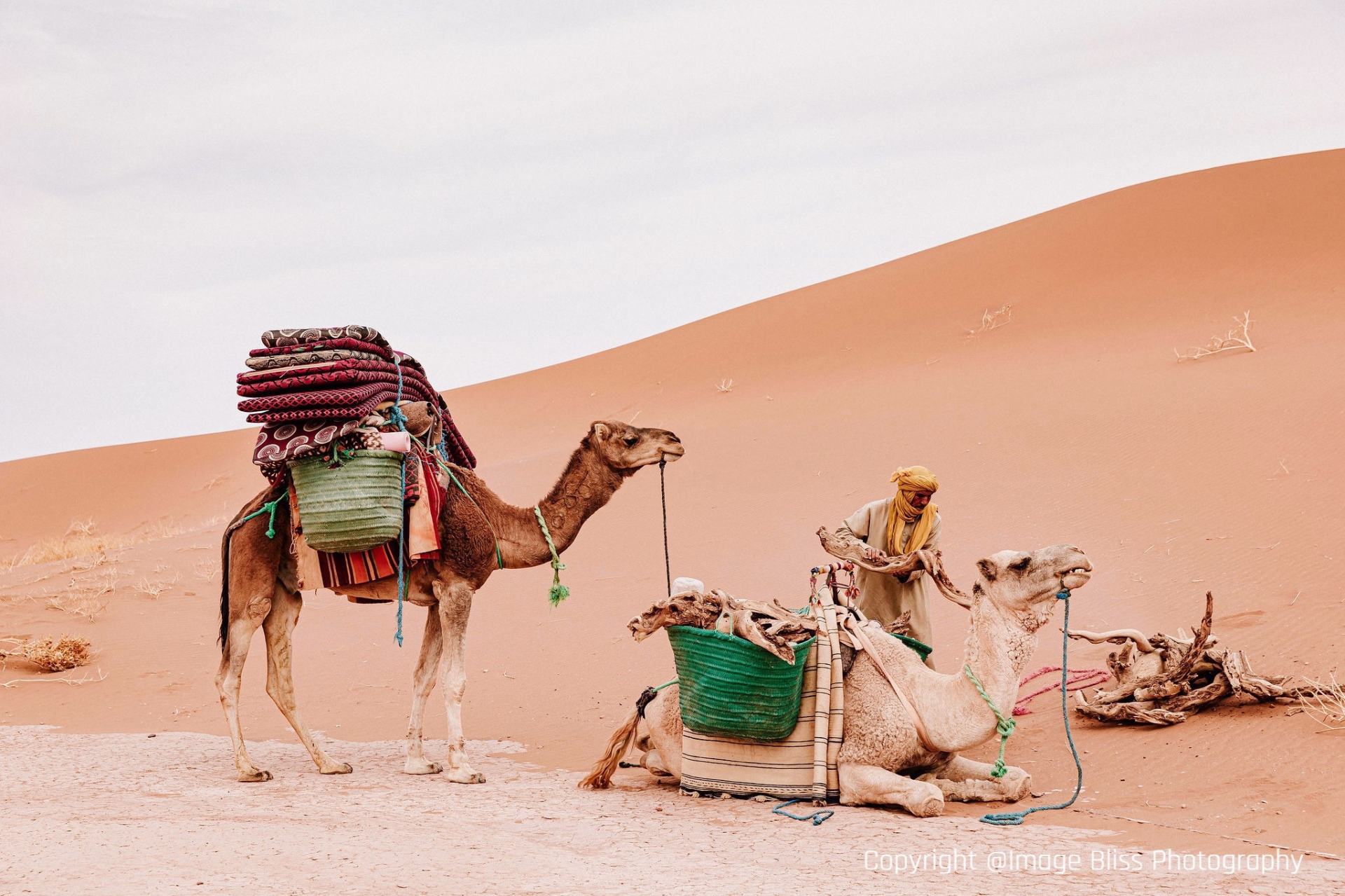 Trek dans le désert marocain 5 jours et 4 nuits au départ de Marrakech