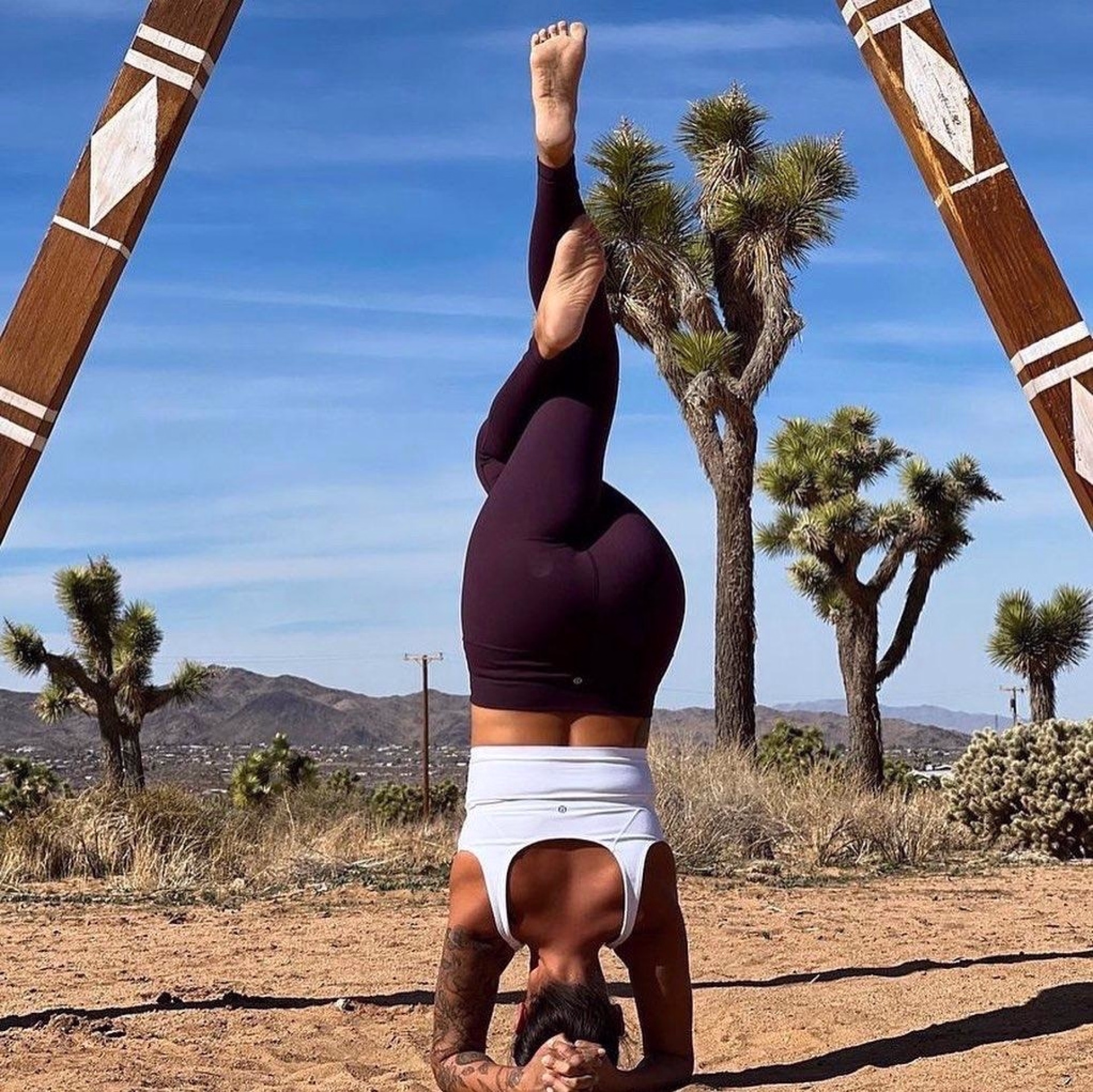Désert sauvage — 6 jours de yoga & d'aventure à Joshua Tree