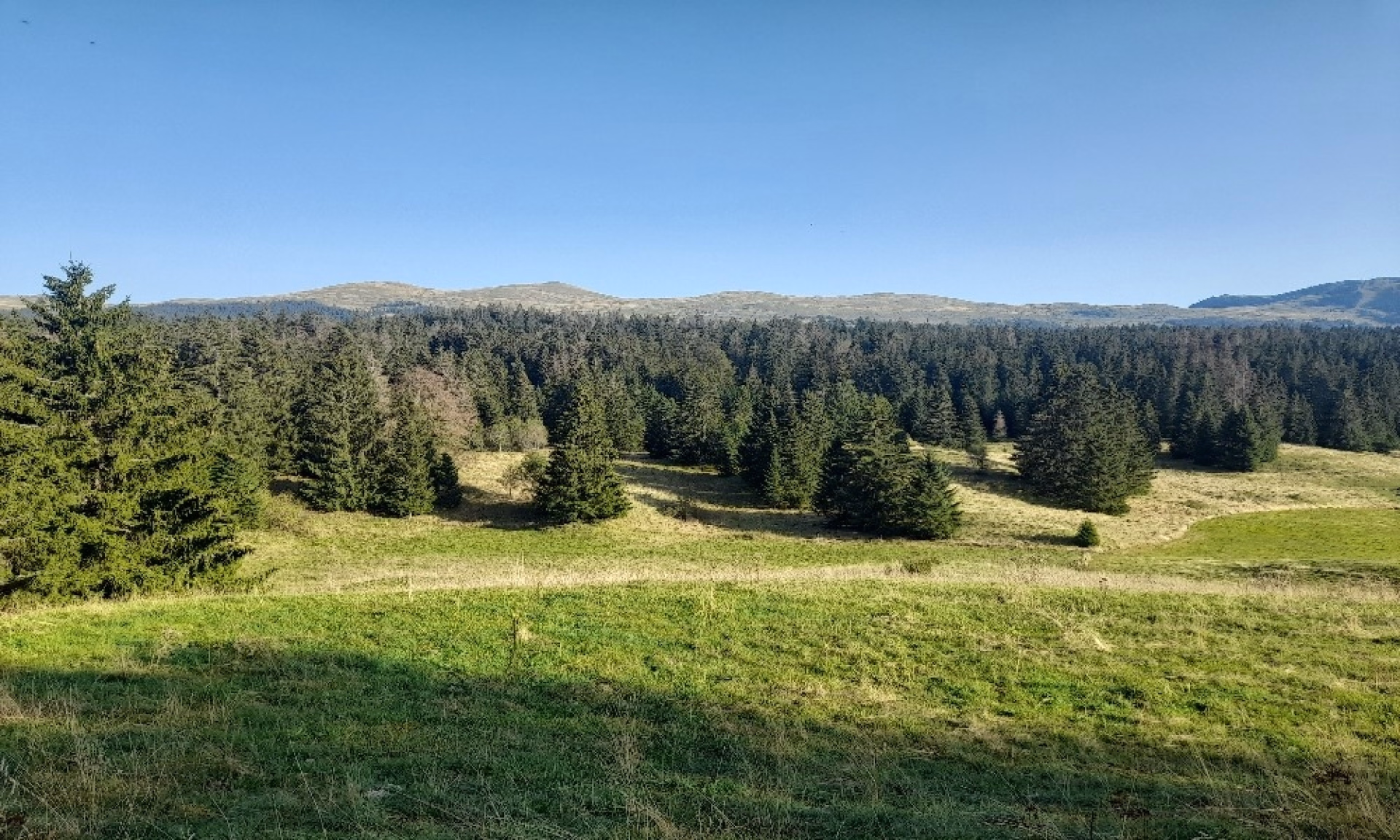Trek en semi-autonomie sur les crêtes du Jura suisse