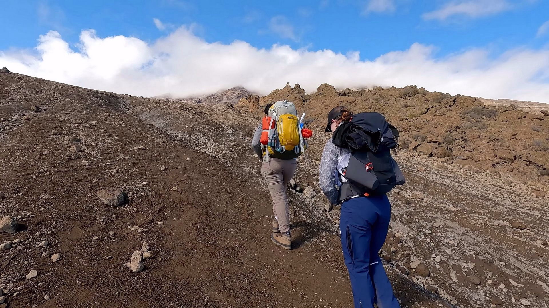 Ascension du Kilimandjaro par la voie Northern Circuit - 8 jours