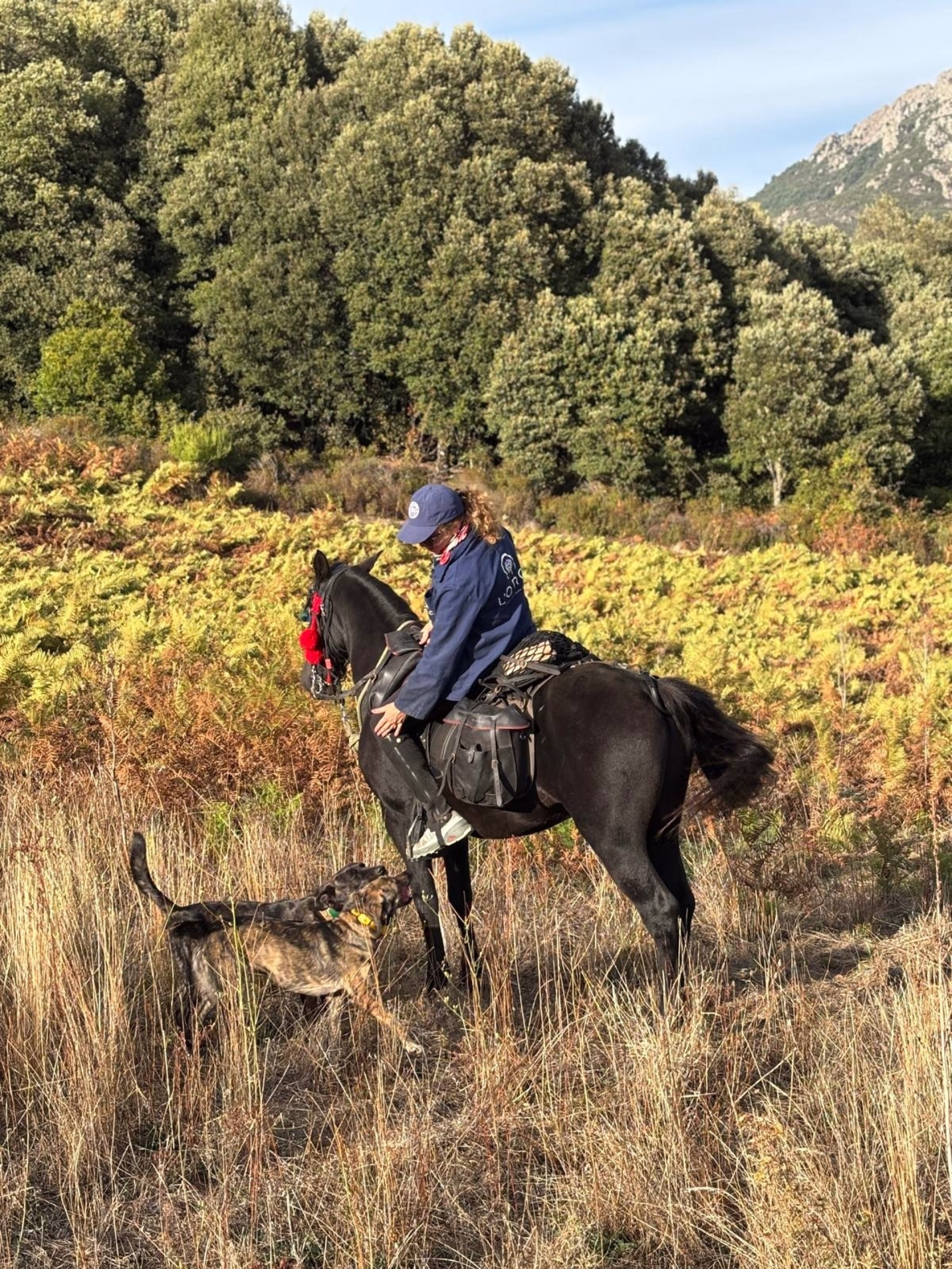 Randonnée équestre sur les chemins de transhumance en Corse