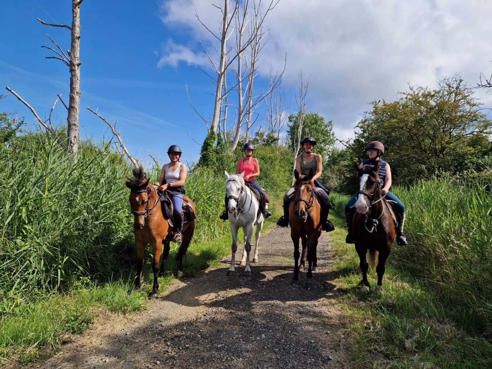 Randonnée à cheval vers les plages de la Vanlée