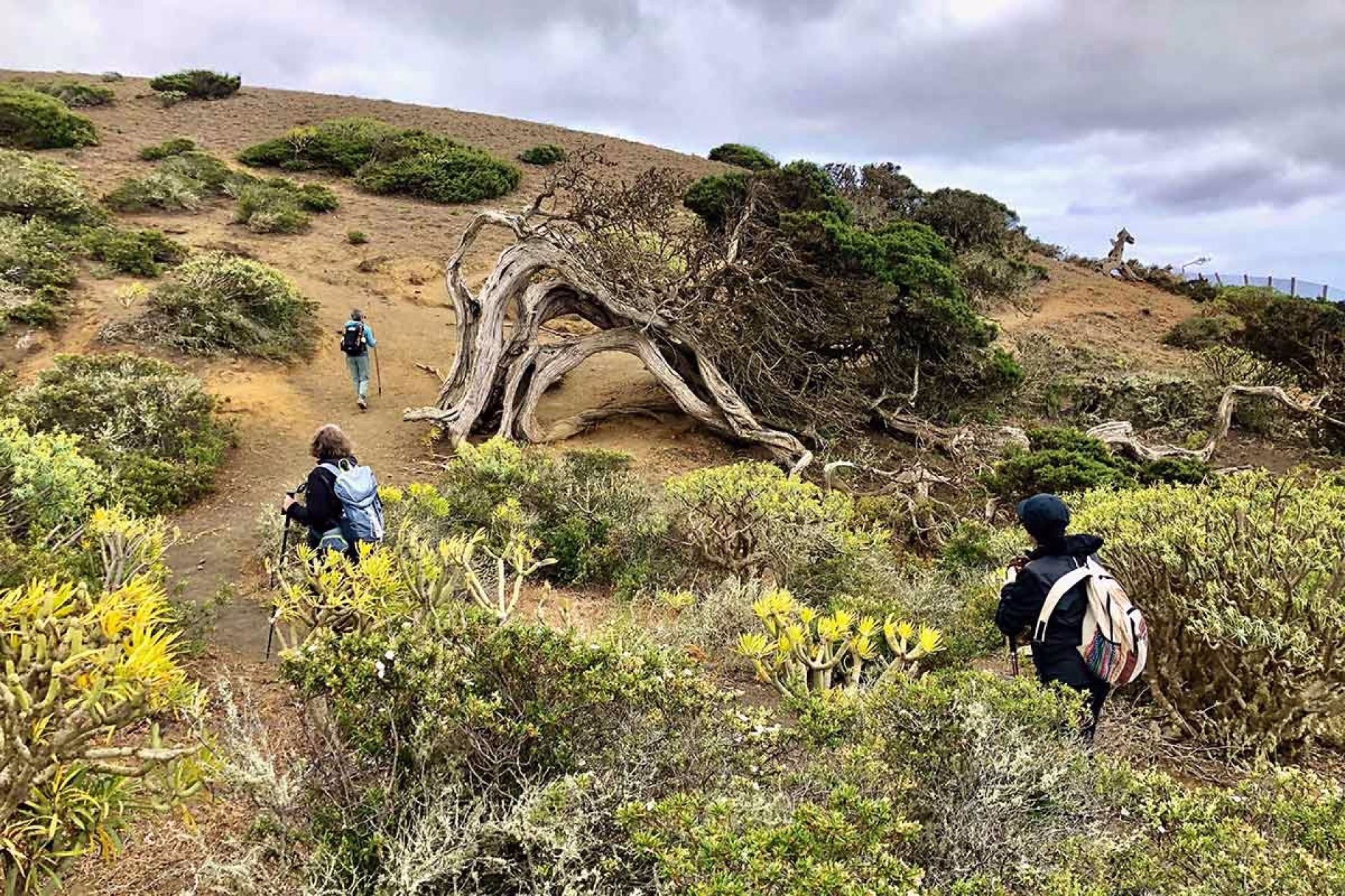 Randonnée sur le parcours naturel de l'île d'El Hierro