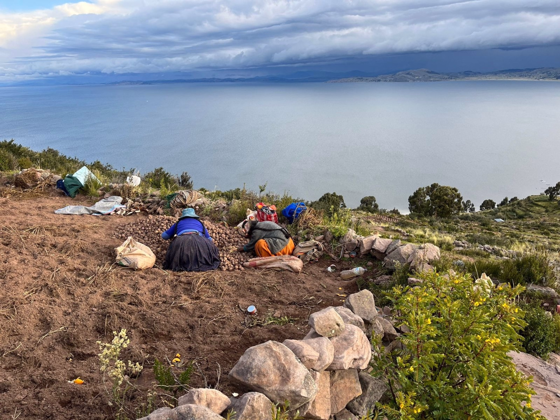 Circuit au Sud Pérou en petit groupe : immersion andine, lac Titicaca