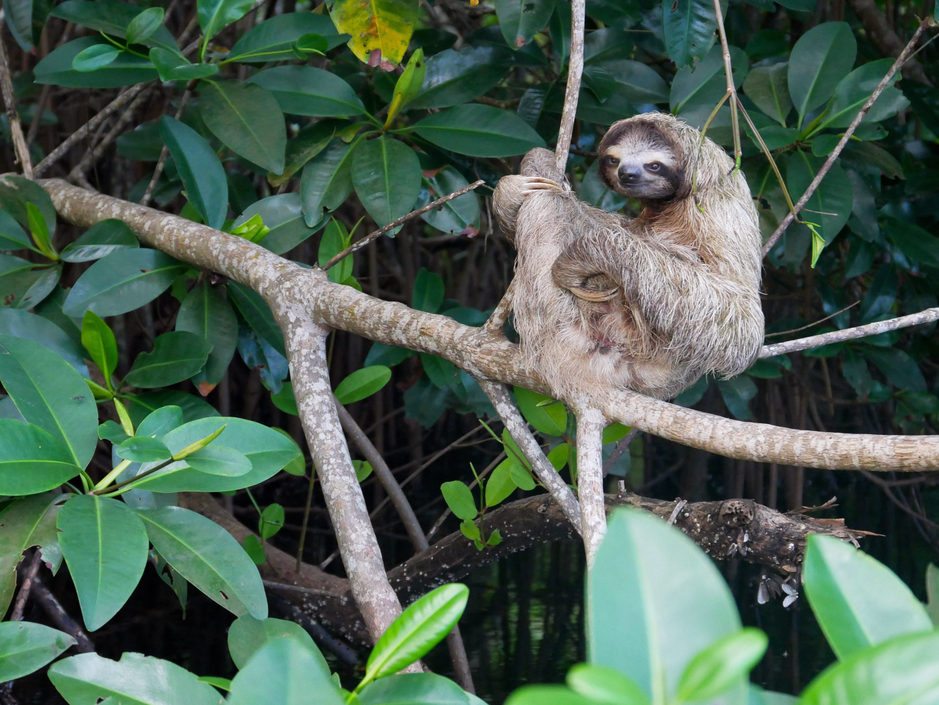 Le Costa Rica autrement : découvrez de nouveaux incontournables