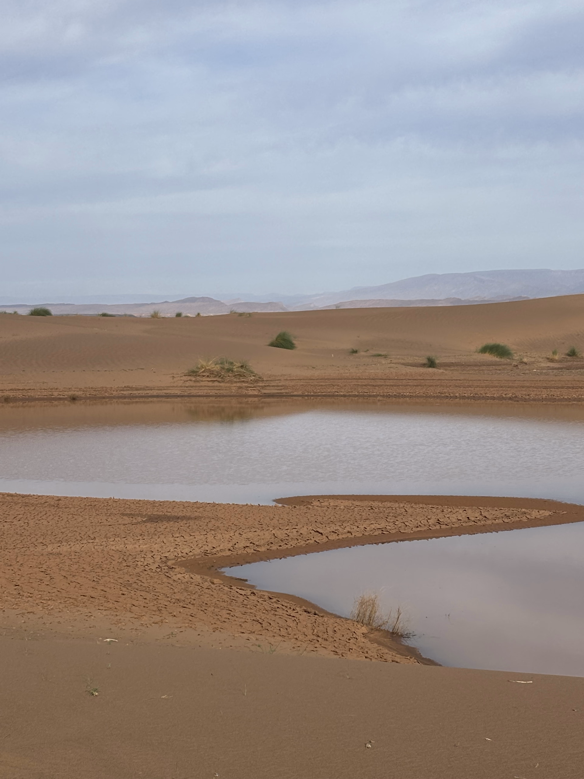 Photo pendant un trek dans le désert marocain