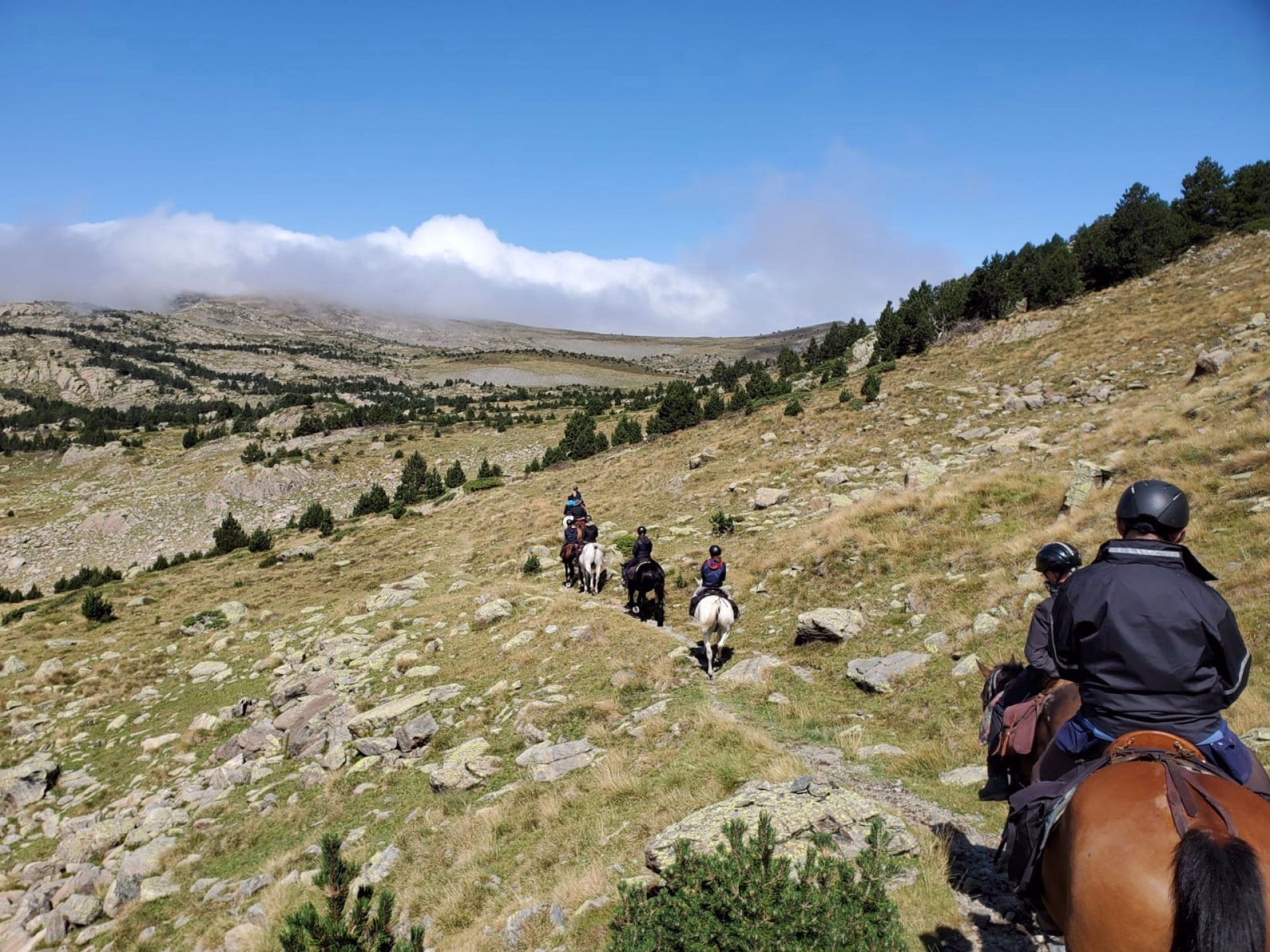 Les Pyrénées catalanes à cheval entre Cerdagne et Capcir