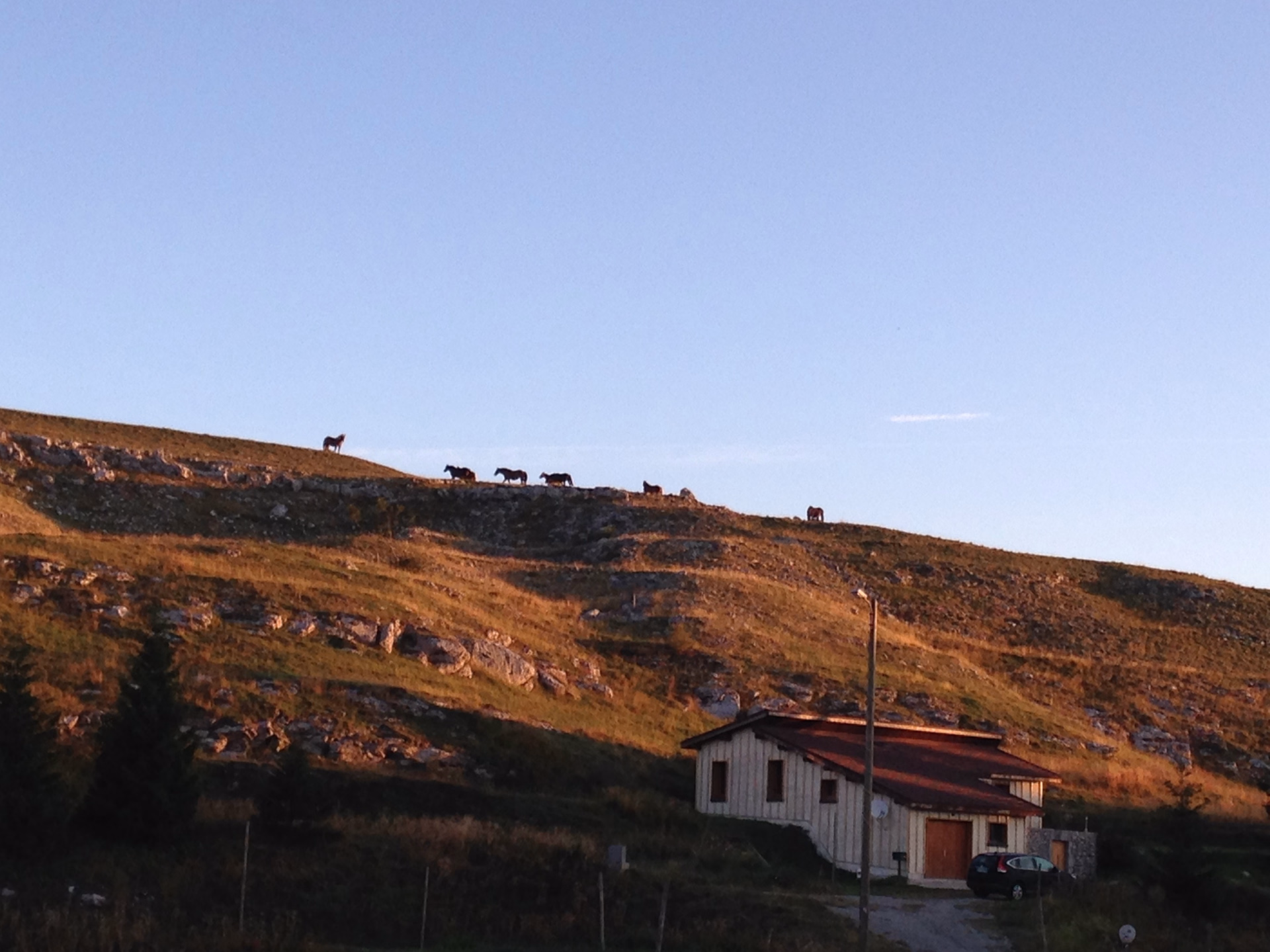 Randonnée équestre sur les hauts plateaux du Vercors
