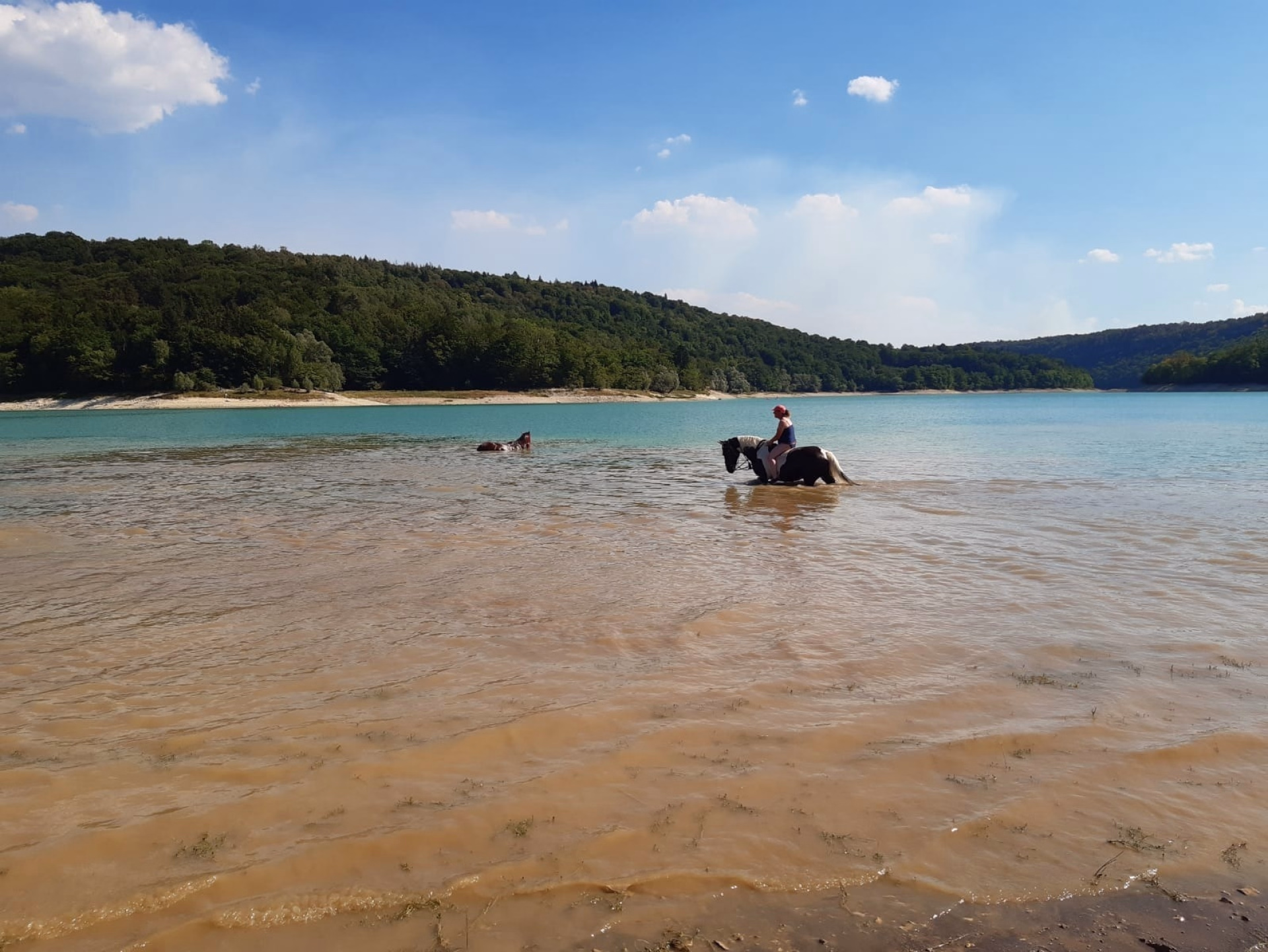 Rando à cheval au fil des lacs et cascades du Haut-Jura