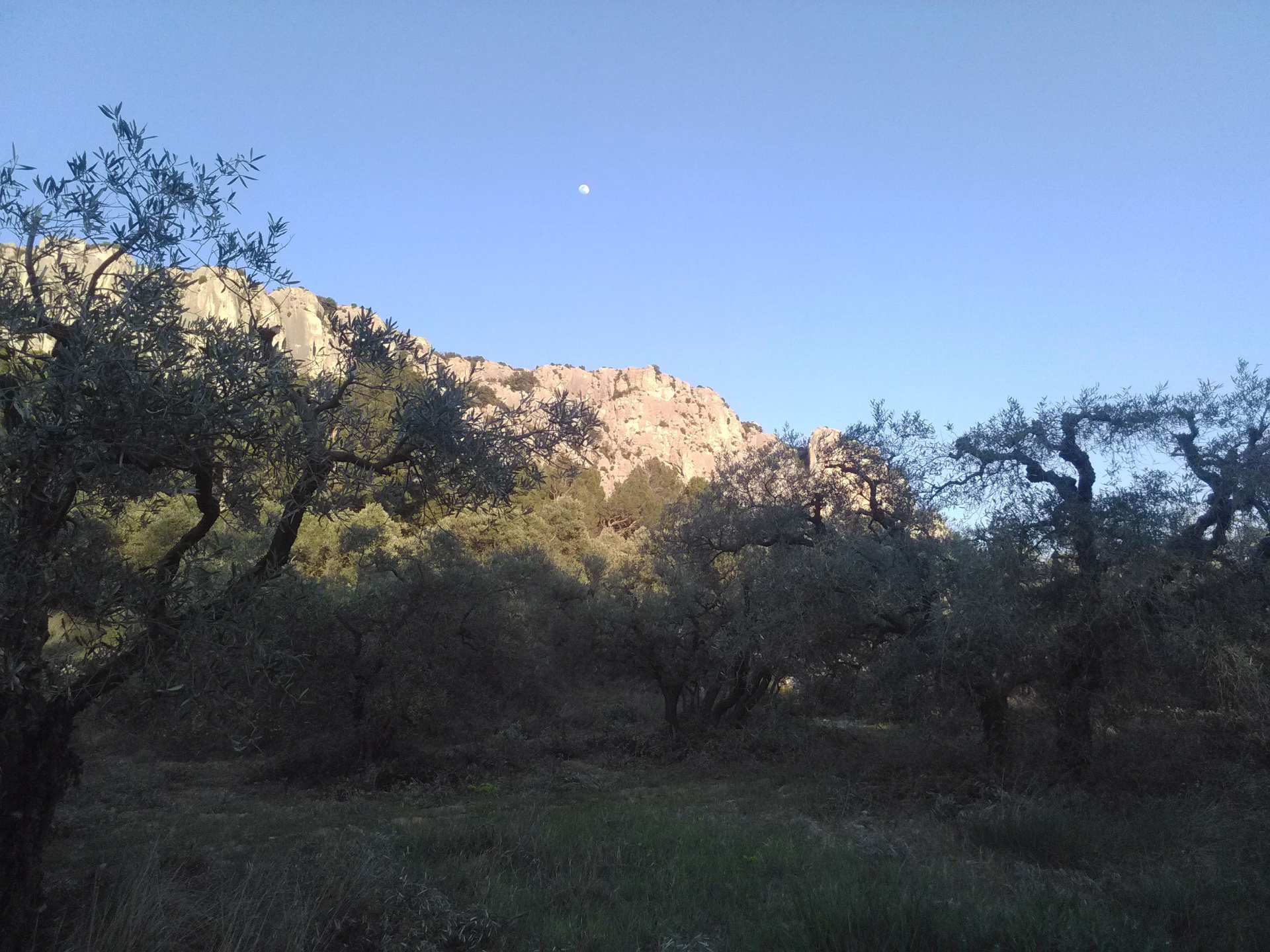 Escapade Verticale – Escalade & Gravel dans les Alpilles