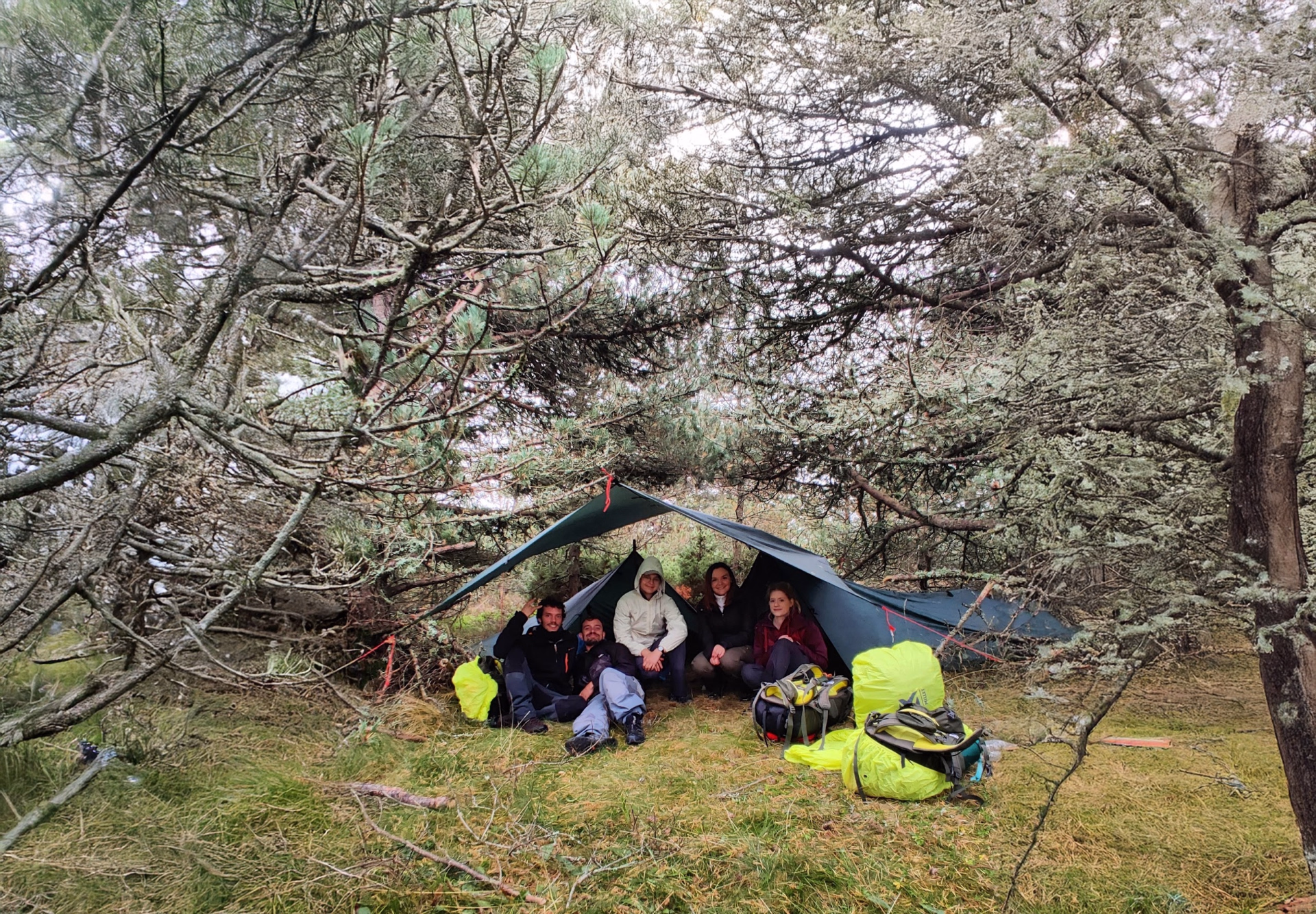 Stage survie de 3 jours dans les forêts du Vercors