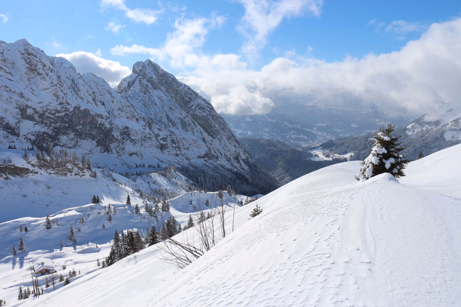 Raquettes dans le Haut-Giffre sur les hauteurs de Samoëns