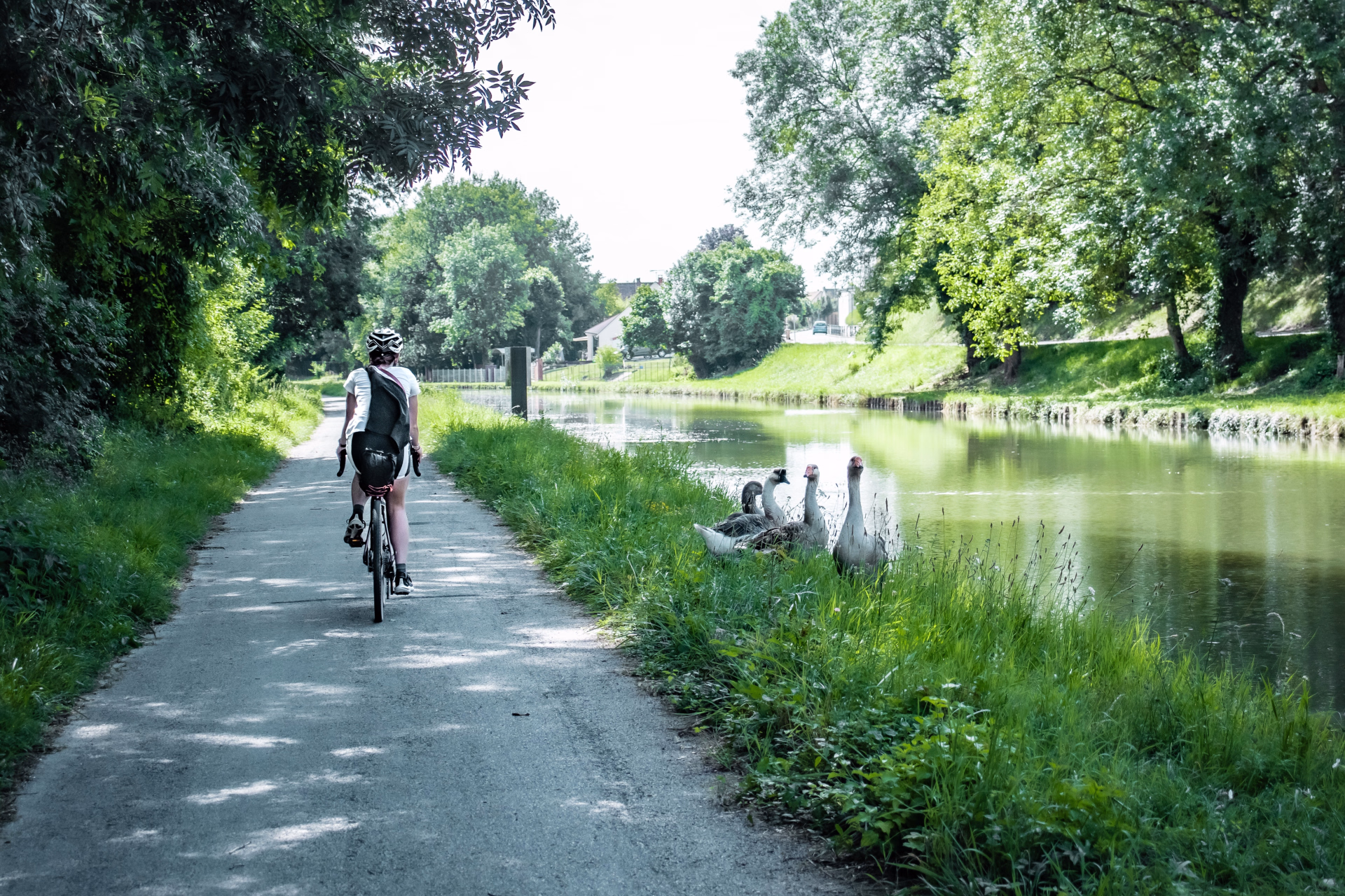 Tour du lac Léman à vélo : entre Alpes, Suisse et Savoie