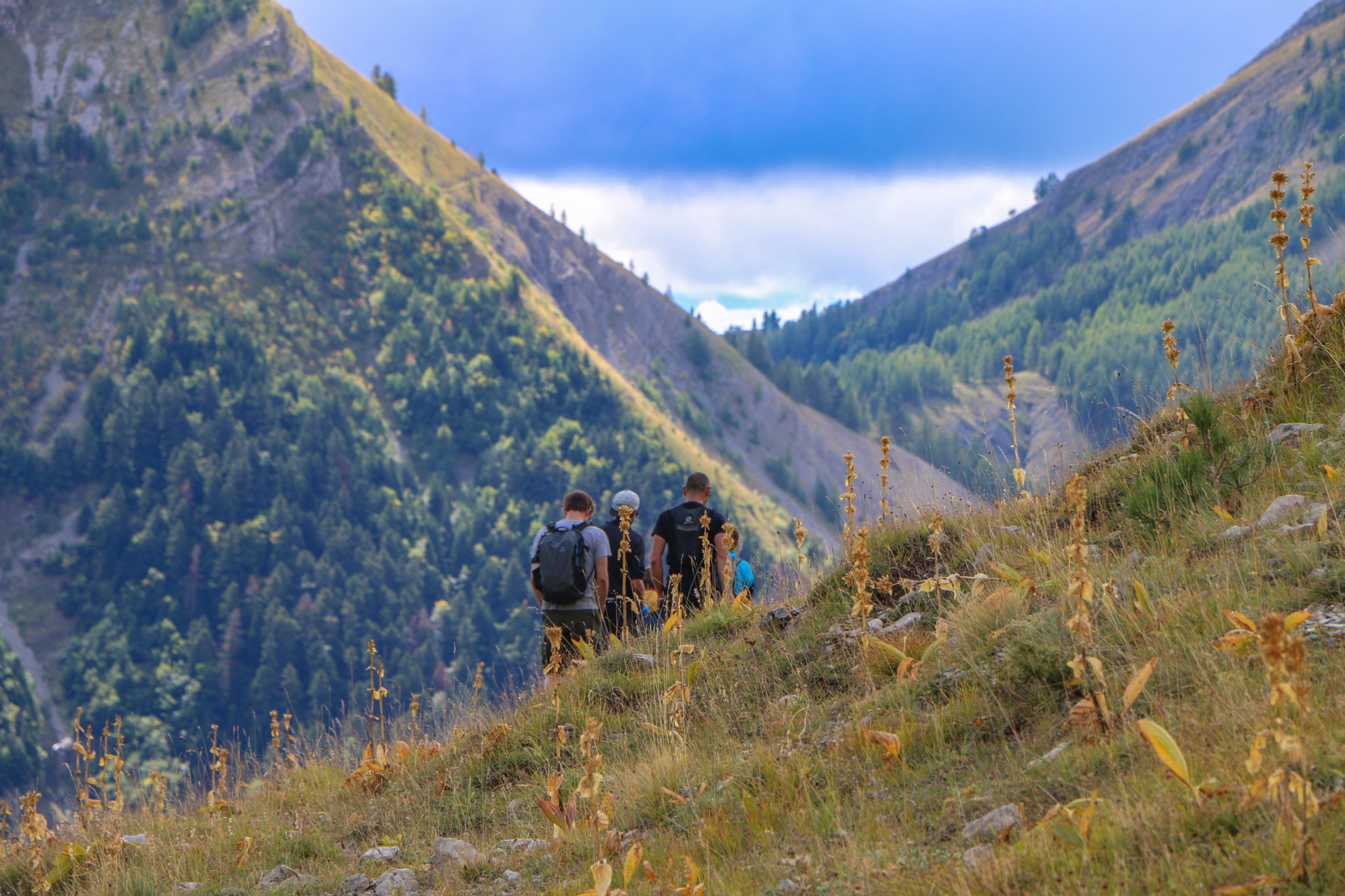Rando découverte Chaudun & les Loups : l'héritage d'un village disparu